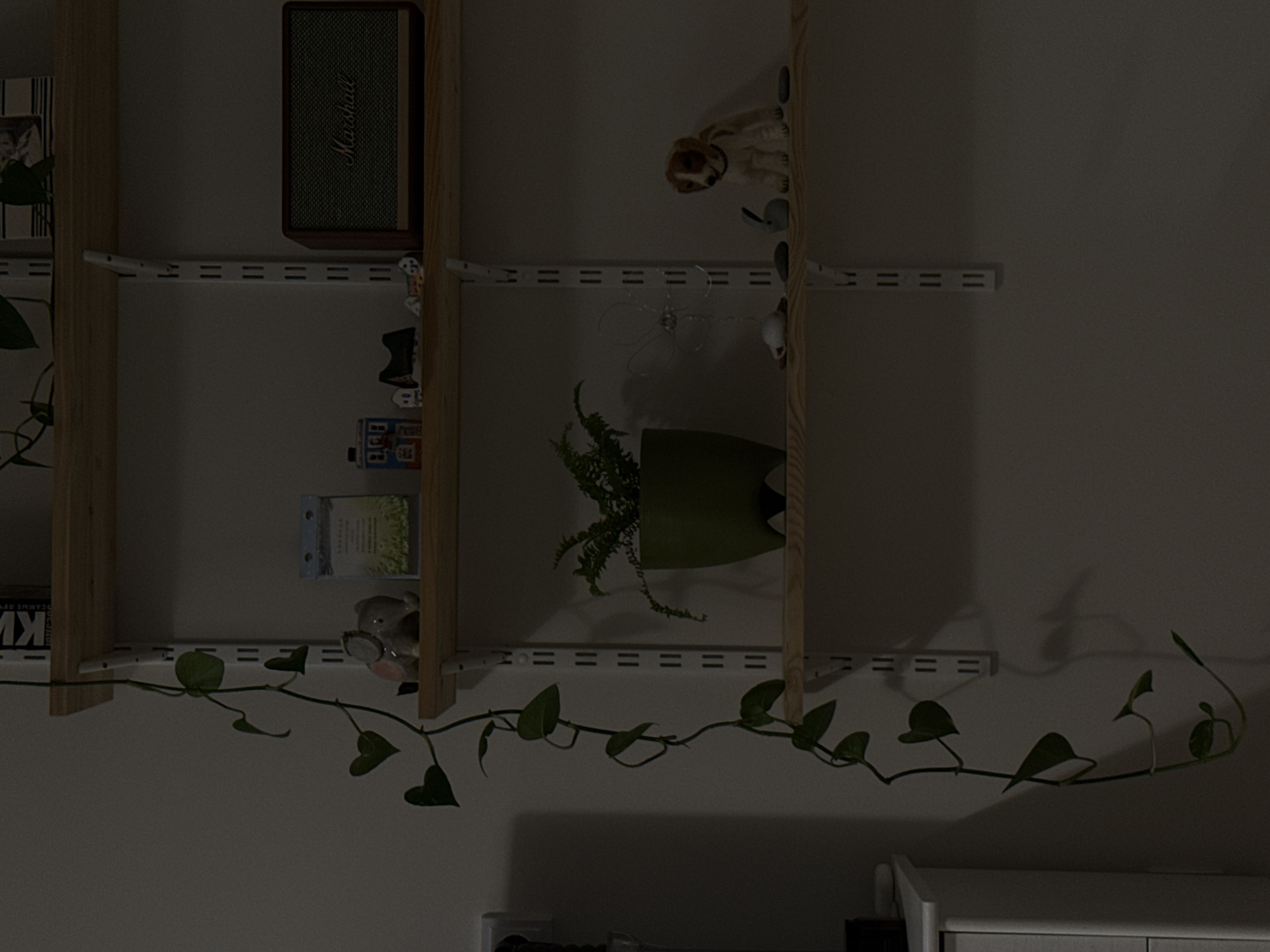 An indoor scene depicts a dimly lit wall-mounted shelving unit. The shelving system comprises light-colored wooden vertical supports and white metal shelf brackets.
On the top shelf, a brown and black Marshall speaker with the brand name "Marshall" visible in white script is positioned on the left. To its right, a small, light-brown dog figurine with a black collar stands.
The middle shelf holds a green potted plant, possibly a fern, centrally placed. To the right of the plant, a delicate, wire-shaped decorative item, potentially a small light fixture, is present, along with a small white animal figurine. On the left side of this shelf, below the Marshall speaker, several small, colorful decorative objects, including what appears to be a miniature building, are arranged. A book or binder with partially visible text, including "KW" and other indistinct characters, rests on the far left.
Below the bottom shelf, a vibrant green vine plant, likely a Pothos, trails across the plain wall. Its heart-shaped leaves are evenly spaced along its length, creating a natural, decorative garland.
The lighting is very dim, casting soft shadows and obscuring some finer details, suggesting the image was captured in a low-light environment, such as at night. The scene is static, showcasing household items and plants. The location context provided is Izhevsk, Russia.