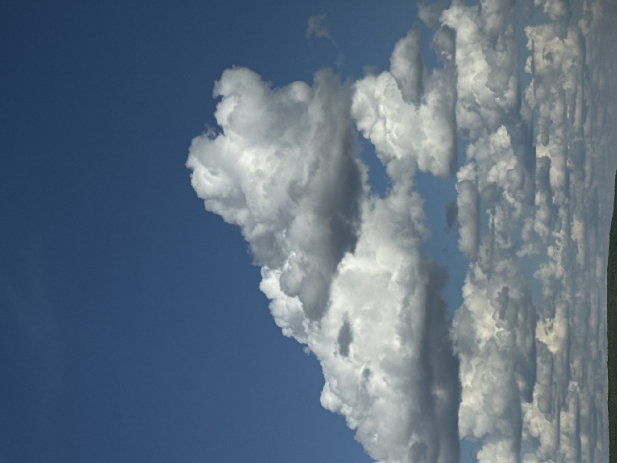 The image shows a view of the sky with a collection of cumulus clouds, some dense and white, contrasting against a clear blue sky. The clouds vary in size and shape, creating a textured, layered effect. Some clouds have grey shadowing, suggesting depth and structure. At the edge of the frame, there's a faint hint of green, possibly representing distant vegetation or landscape. The location is specified as Chaikovsky, Russia, implying this is the sky above that city. There is no information to indicate that people are present in the image.