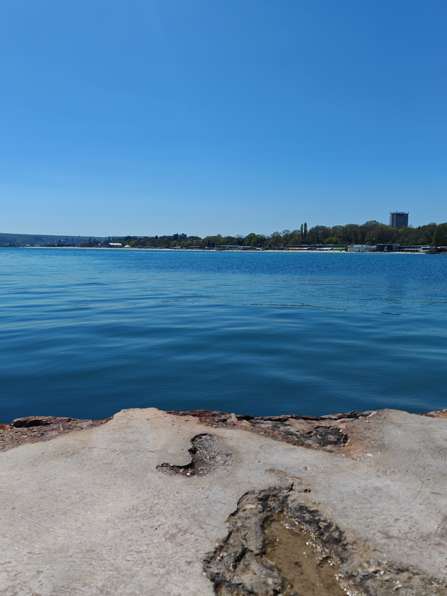 The image presents a view of the Black Sea from what appears to be a concrete embankment or pier. In the foreground, the textured surface of the embankment shows signs of weathering and degradation, with cracks and a small pool of water collected in a depression. The water of the Black Sea fills the middle ground, reflecting the clear blue sky overhead. In the distance, the coastline of Varna, Bulgaria is visible, marked by a sandy beach and a line of trees that appear to be part of a park or landscaped area. A taller building rises above the tree line. The sky is clear and bright blue, suggesting a sunny day.