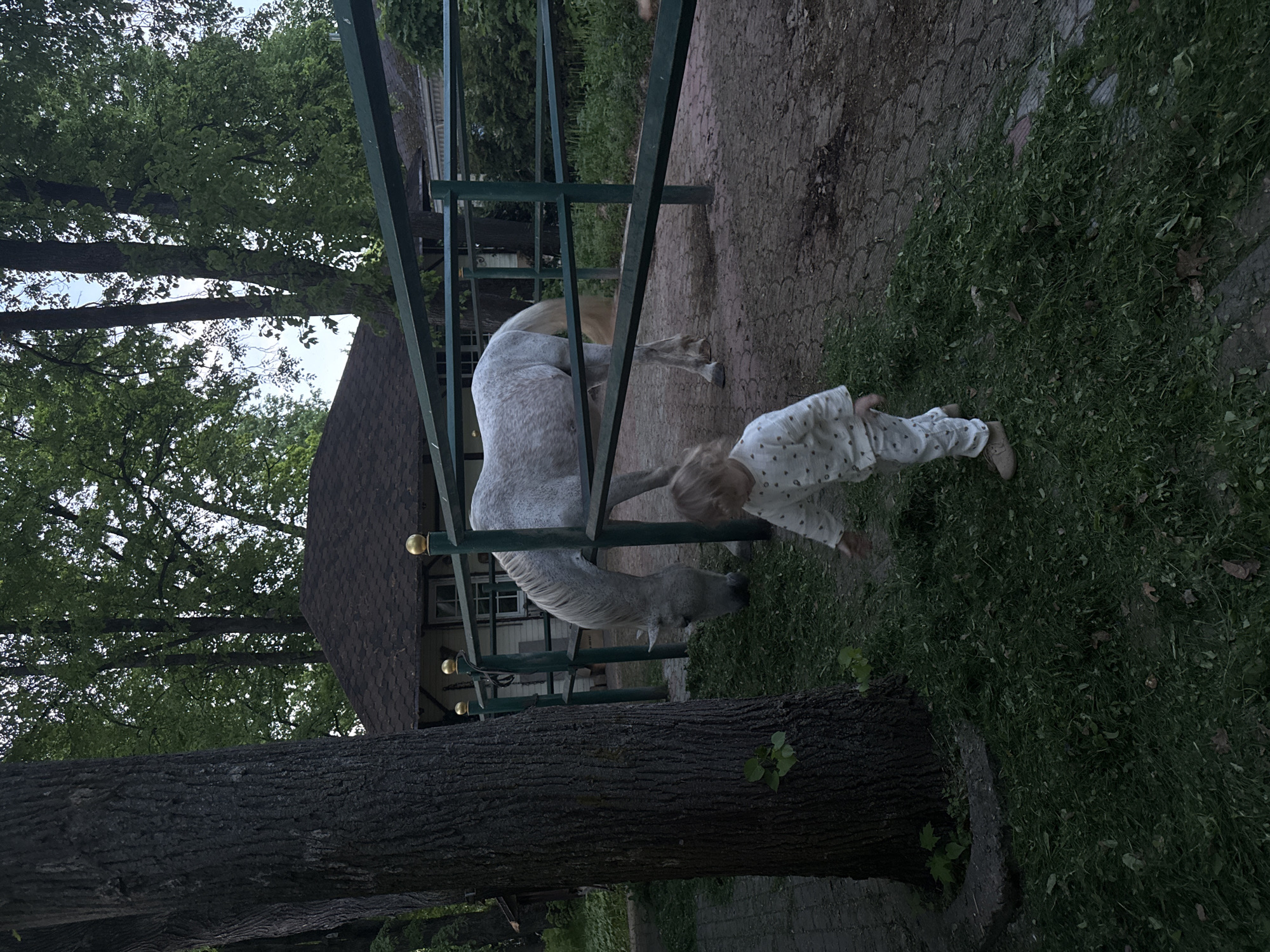 A young child in patterned pajamas and tan shoes reaches for a gray horse in an outdoor enclosure. The enclosure, constructed of green metal, surrounds the horse on three sides. A building with a dark brown peaked roof and light-colored walls stands behind the enclosure. The ground is covered in grass and paving stones. A large tree trunk is in the foreground, with additional trees in the background. The image was likely taken in Sapronovo, Russia.