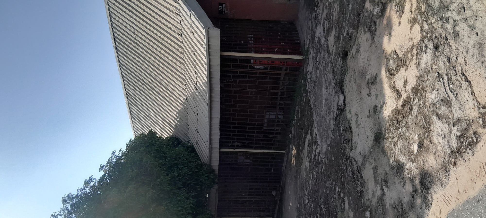 The image shows a building with a corrugated metal roof and a red-painted facade. A large green tree is growing to the left of the building, partially obscuring the roof and the upper part of the structure. The building has a covered porch area with dark metal bars across the front. A sign with the number "33" and some illegible text is visible on the red wall to the right. The ground in front of the building is unpaved, with patches of dirt, gravel, and some debris. The sky is clear and blue. The scene appears to be a residential or commercial property located in Jalingo, Nigeria.