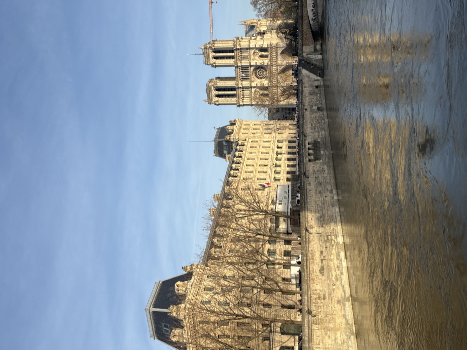 The scene depicts a wide-angle view of the Seine River in Paris, France, with the Notre Dame Cathedral prominently visible on the right. The location is the Île de la Cité, seen from the Left Bank or a nearby bridge.
The environment is bathed in the golden light of late afternoon or early morning, illuminating the stone facades of the buildings. The sky above is a clear, light blue with minimal cloud cover. The River Seine occupies the lower third of the image, appearing murky brown with significant reflections of the architecture and sky, and discernible ripples on its surface.
On the left bank, a large, multi-story building with a distinctive dark mansard roof and numerous windows dominates the background. This structure, likely the Préfecture de Police, is constructed of light-colored stone and displays a French flag on one of its upper stories. Bare deciduous trees line the riverbank in front of this building, suggesting a late autumn or winter season. Below the trees, a road features parked and moving vehicles, and a white modular construction trailer is visible.
On the right side of the image, the Notre Dame Cathedral stands as the central subject. Its iconic Gothic facade, featuring two prominent bell towers and a large rose window, is clearly visible. Behind the cathedral, a tall red construction crane is partially obscured, indicating ongoing restoration efforts. The riverbanks are composed of robust stone embankments. On the cathedral side, steps lead down towards the water, and a stone arch bridge extends from the right edge of the frame.
Scattered small figures of people are visible on the sidewalks along both riverbanks and on the bridge, engaged in unidentifiable pedestrian movement. No specific interactions or actions among individuals are discernible due to the distance.