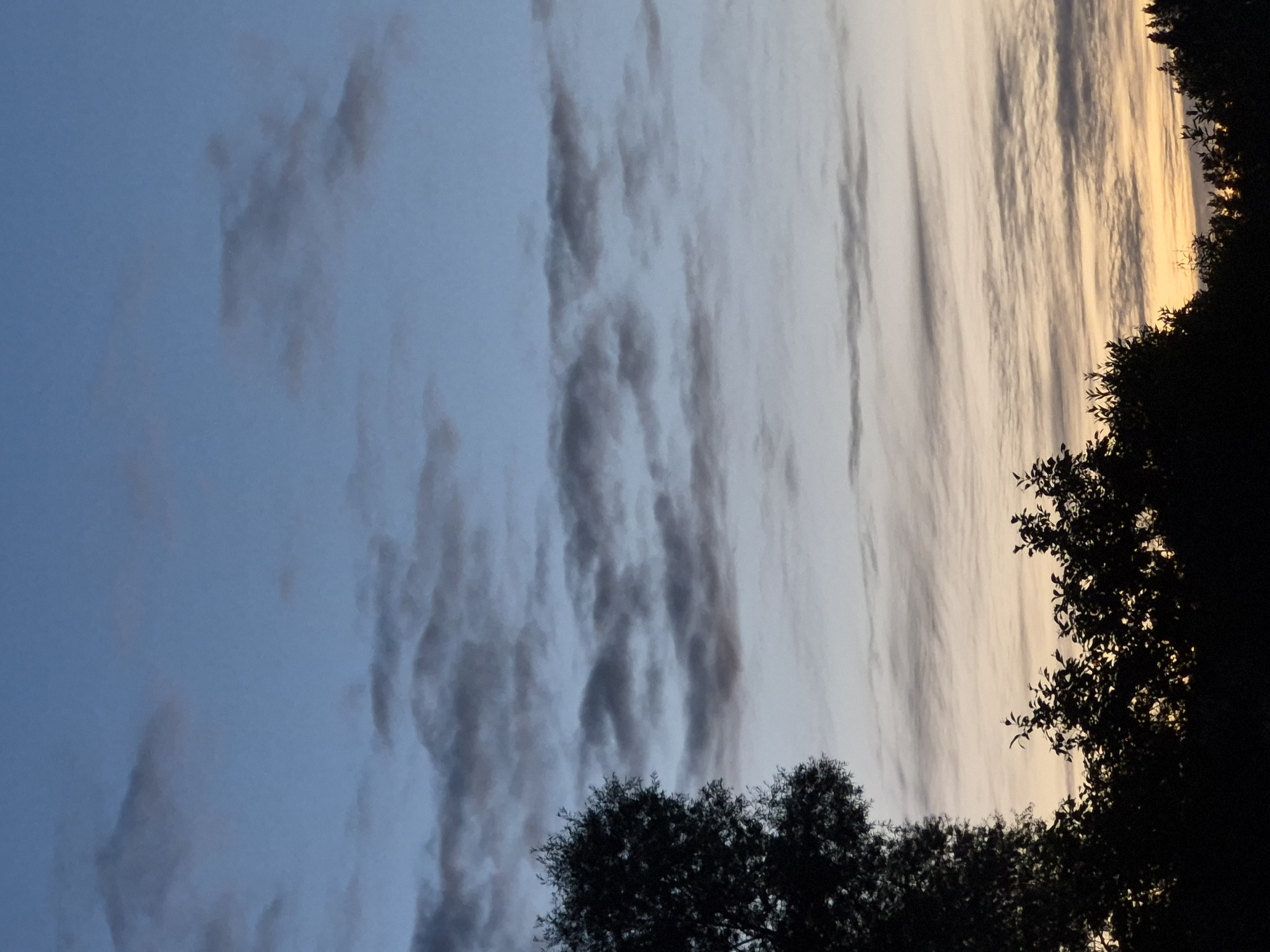 This is a vertical, medium-shot photograph of a twilight sky with silhouettes of trees in the foreground. The sky transitions from a pale blue at the top to a soft orange and yellow hue near the horizon. Wispy clouds are scattered across the sky, some dark gray and others lighter, catching the fading light. The dark silhouettes of trees and foliage form a jagged line across the bottom of the frame, with a large, leafy tree on the left and smaller trees and bushes to the right. The scene appears to be an outdoor environment, possibly a park or a rural area on the outskirts of a city. There are no people or discernible structures visible. The overall mood is tranquil and serene, characteristic of dusk. The location is identified as Sooblase, Estonia.