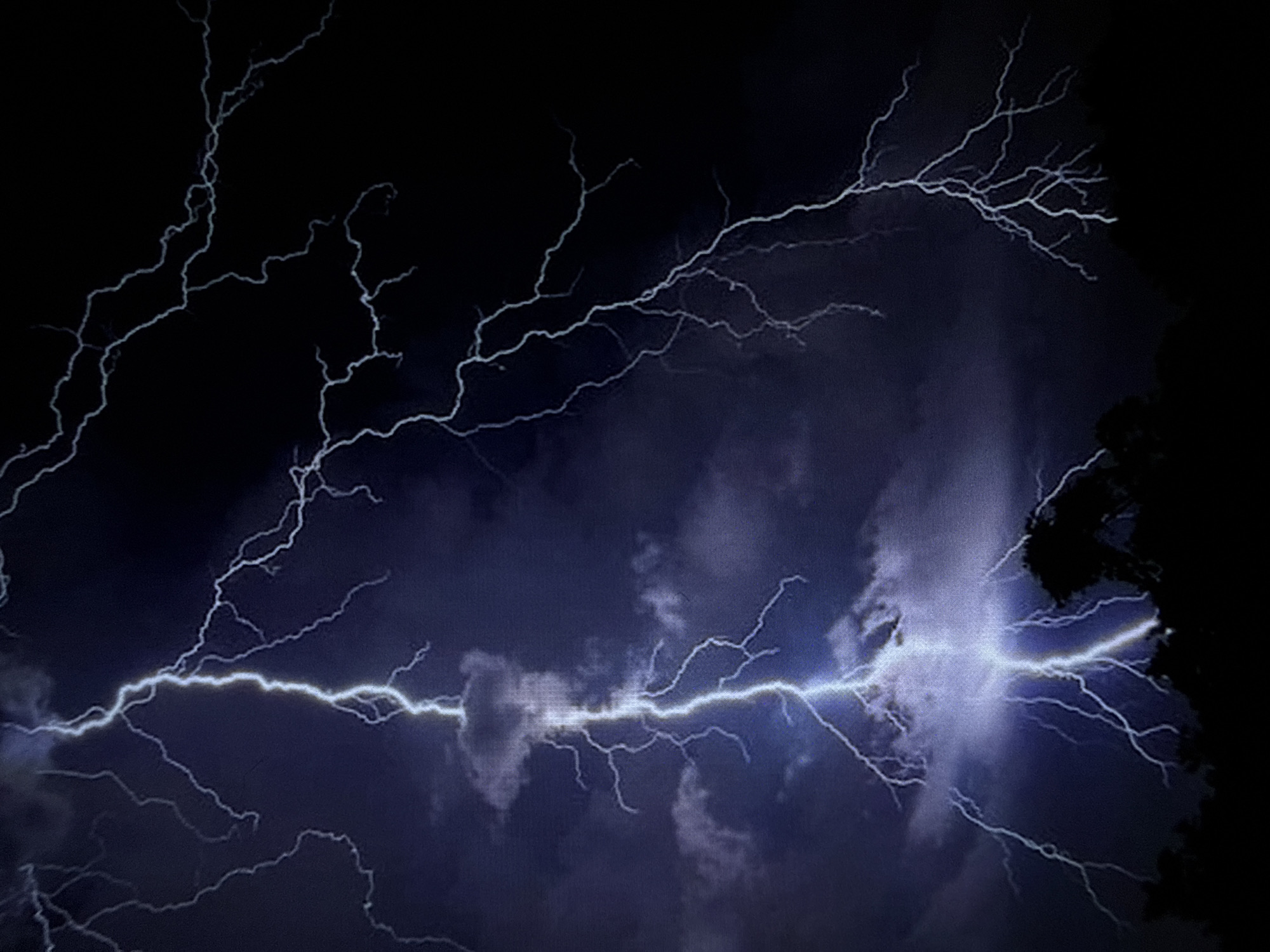 A dramatic nighttime photograph captures multiple lightning strikes illuminating dark, stormy skies above Varna, Bulgaria. A prominent, thick bolt of lightning dominates the center of the frame, extending from the upper portion of the image downwards and branching out into smaller tendrils. To the right, another less intense but still visible lightning strike branches across the dark sky. The background is filled with turbulent, dark clouds, characteristic of a thunderstorm. Silhouetted against the faint light of the lightning, the tops of trees and foliage are visible at the bottom of the image, suggesting a natural or park-like setting within the city limits of Varna. The overall impression is one of a powerful natural phenomenon occurring over the Bulgarian city.