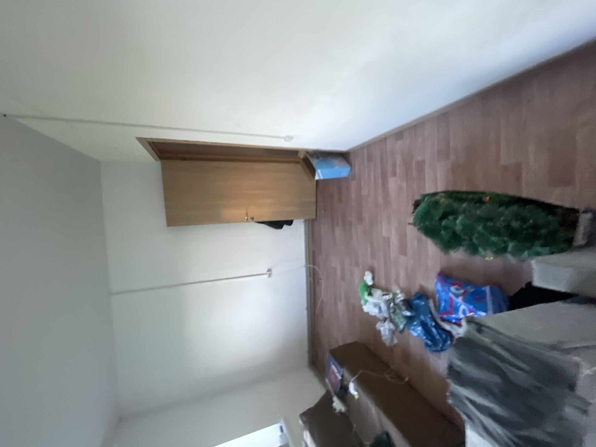 The image shows an interior view of a sparsely furnished room, possibly an apartment, located in the city of Krasnye Baki, Russia. The room has white walls and a wooden laminate floor. In the foreground, a dark gray tarp is partially visible, covering an object. To the right of the tarp, a green artificial Christmas tree stands upright. Further into the room, on the floor, are several plastic bags and a blue bag containing items. A light brown sofa is positioned along the left wall, with some papers or flat objects on it. A wooden interior door is visible in the background, slightly ajar, revealing a dark garment hanging from it. Near the door, a blue and white cardboard box stands upright on the floor. The overall impression is that of a room that is either being moved into, moved out of, or is generally untidy.