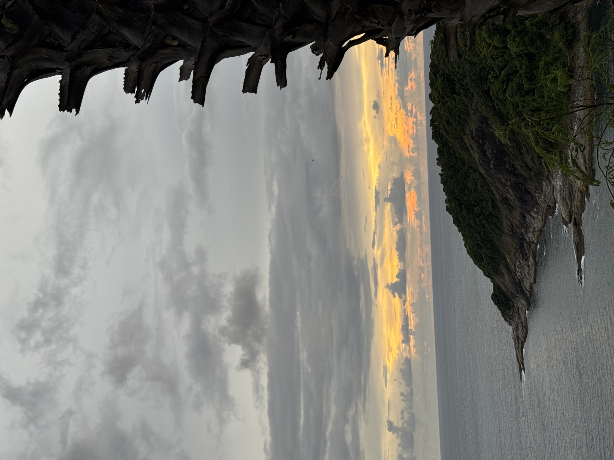 The image depicts a coastal view in Rawai, Thailand, likely at sunset. The foreground features the textured, dark trunk of a palm tree on the right side, its weathered surface creating a striking silhouette against the sky. The middle ground presents a lush, green, forested headland jutting out into the ocean. The rocky shoreline is visible at the base of the headland, with waves gently lapping against it. The ocean stretches out to the horizon, appearing calm and grey. The sky is filled with a dramatic display of clouds, ranging from deep grey to lighter shades, with a vibrant band of orange and yellow light near the horizon, indicating the setting sun. A small dark shape, possibly a distant bird or aircraft, is visible in the sky. The overall scene evokes a sense of natural beauty and tranquility.