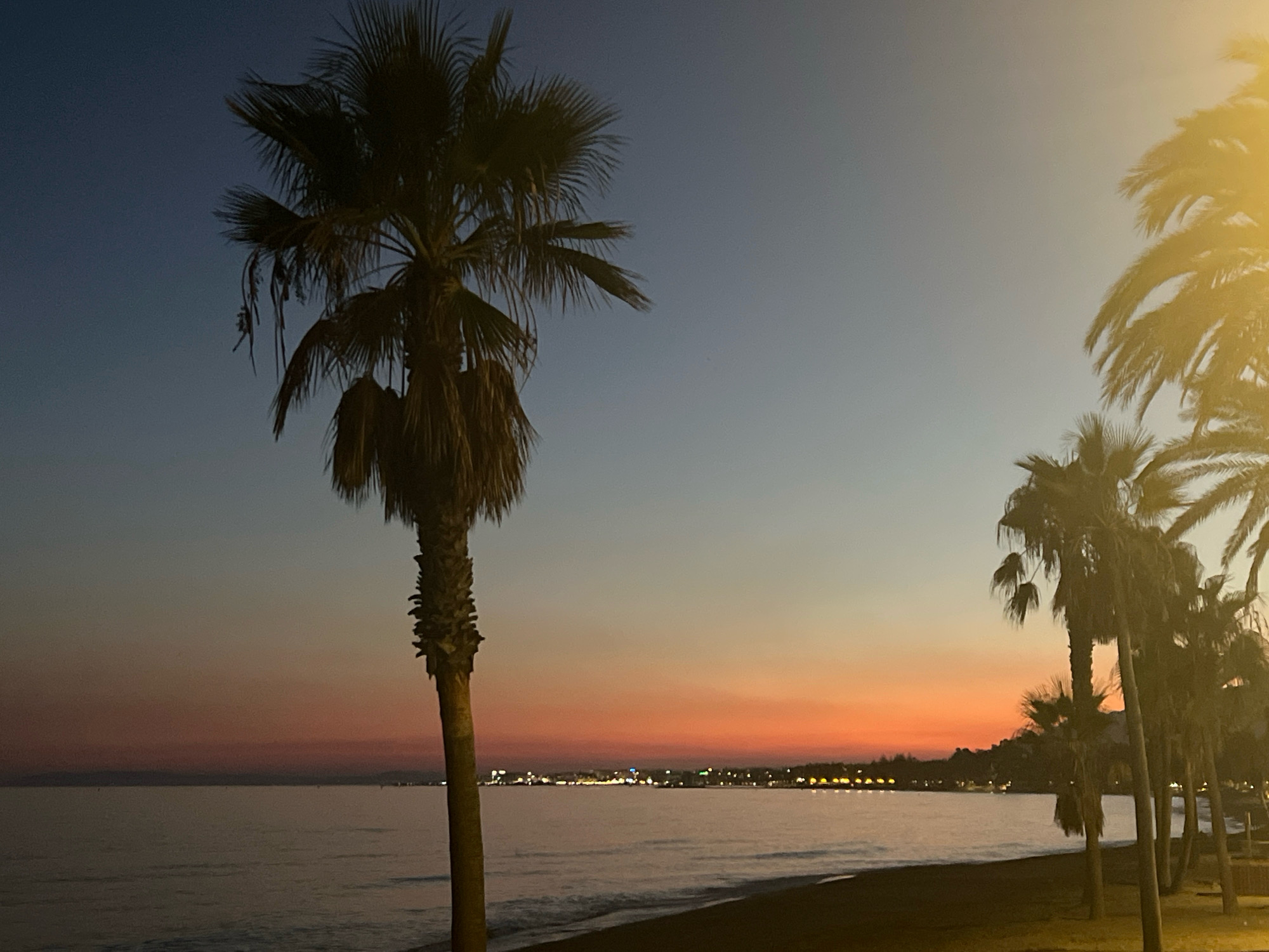 This is a nighttime or twilight image captured on a beach in Marbella, Spain. In the foreground, several palm trees are silhouetted against a gradient sky that transitions from a deep blue at the top to shades of orange and pink near the horizon. The ocean is calm and reflects the soft colors of the sky. A dark sandy beach runs along the edge of the water, and a line of distant lights suggests a town or resort area along the coast. The overall atmosphere is serene and evokes a tropical evening scene.