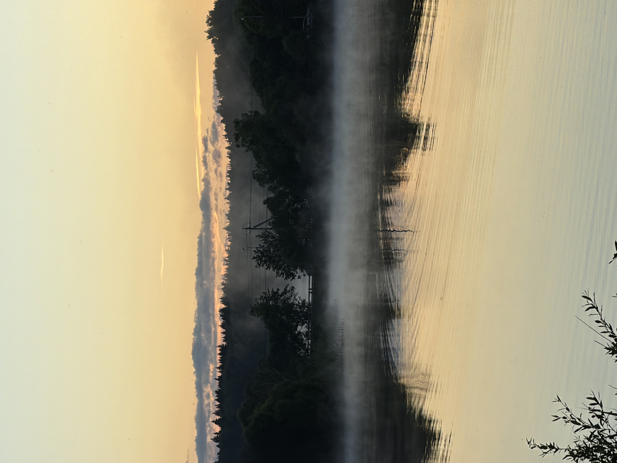 The image depicts a tranquil dawn scene at the lake in Satino-Russkoe, Russia. The sky is a soft gradient of pale yellow and orange, transitioning to a light blue at the top. A dense line of dark green trees forms the horizon, with hints of a forest beyond. Wisps of white mist hover over the surface of the calm lake, reflecting the muted colors of the sky. Gentle ripples disturb the water's surface, creating subtle distortions in the reflections of the trees and the mist. In the foreground, dark green foliage peeks in from the bottom left corner of the frame, adding a touch of natural detail to the serene landscape. The overall impression is one of peace and natural beauty at the beginning of a new day.