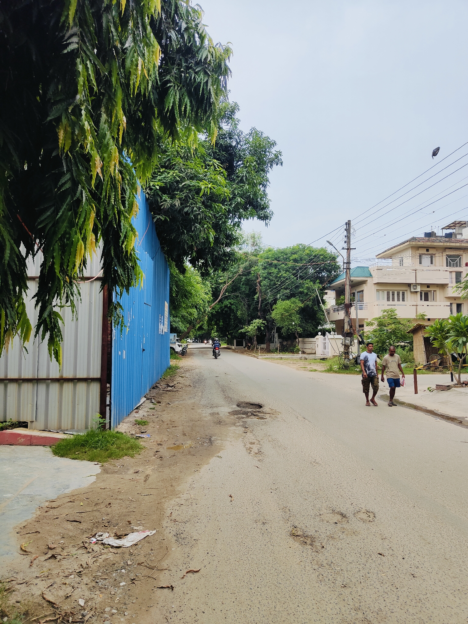 The image depicts a street scene in Gurgaon, India, on an overcast day. A blue corrugated metal fence runs along the left side of the road, partially obscured by lush green foliage. The road itself is paved and shows signs of wear, with several potholes.
Two men are walking on the right side of the road, facing away from the camera. The man on the left wears a white t-shirt with a graphic print and camouflage shorts. The man on the right wears a light-colored t-shirt and dark shorts. A smaller, thatched-roof structure is visible behind them, along with some greenery.
Further down the road, a person is riding a motorcycle, moving away from the viewer. In the background, a multi-story residential building with balconies and air conditioning units is prominent. Electrical poles and wires crisscross the sky. Trees are abundant throughout the scene, lining the street and surrounding the buildings, contributing to a somewhat tropical feel. The ground alongside the road is unpaved, with dirt and some scattered debris.