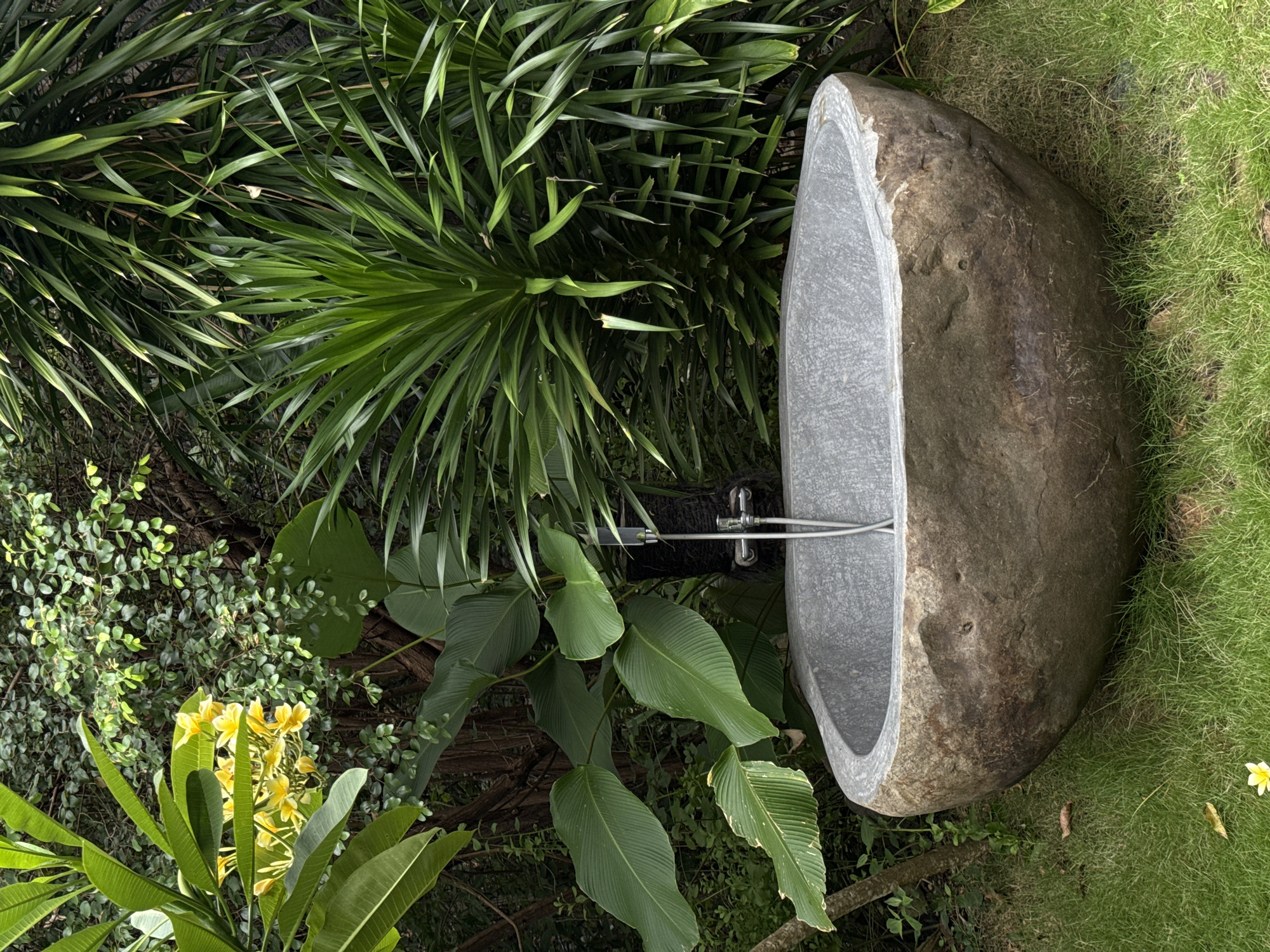 The image shows an outdoor stone bathtub in a lush, overgrown garden in Unknown, Indonesia. The tub, carved from a large gray-brown stone, has a smooth, gray interior and a metal faucet. It is surrounded by dense vegetation including tall spiky plants and broad-leafed green foliage. Yellow flowers are visible in the lower left corner. The ground cover includes grass.