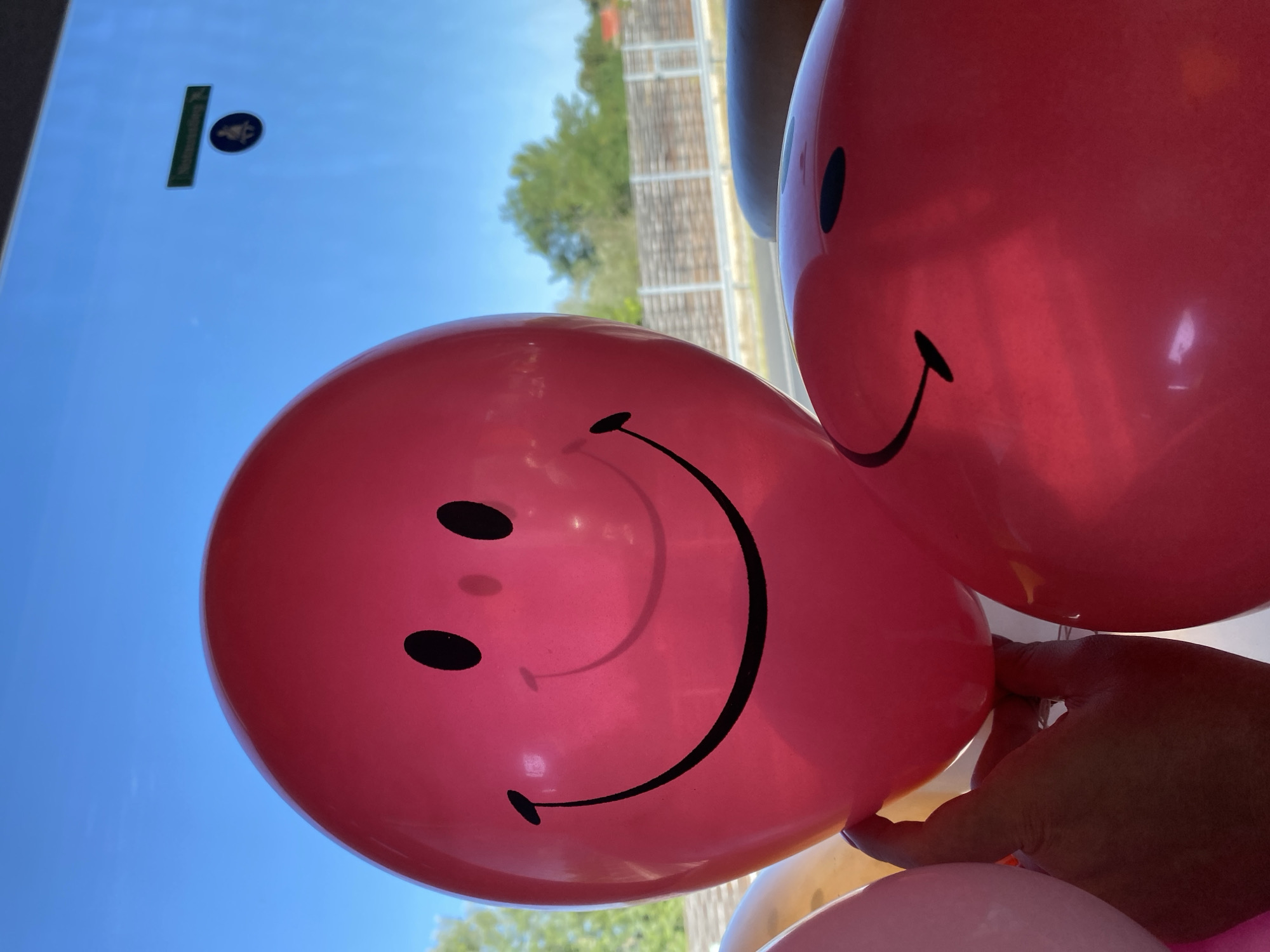 The image shows a close-up of several pink balloons with smiley faces, held by a person's hand. The balloons are in the foreground, with a clear blue sky and some trees and a wooden fence in the background. There is also a sticker on a window in the background. The scene appears to be outdoors, possibly on a sunny day. The balloons are a vibrant pink color, and the smiley faces are drawn in black. The hand holding the balloons is visible in the lower left corner of the image. The overall impression is cheerful and festive.