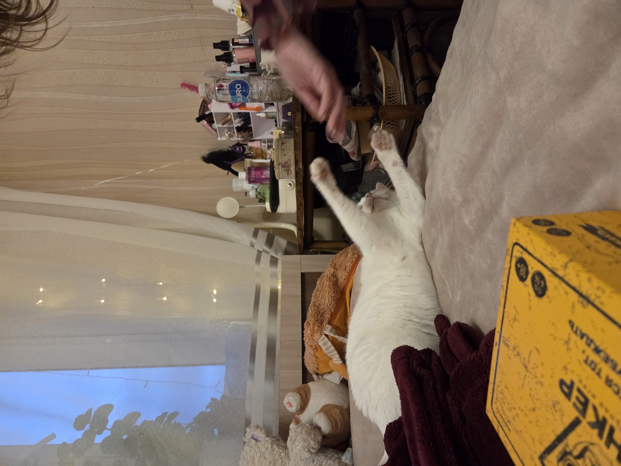 The image shows a room with a variety of objects. On the left side of the image is a window with a white curtain and string lights. Below the window is a partial view of some greenery. To the right of the window is a wooden shelf cluttered with various items including cosmetics, bottles, and a light. A person's hand reaches towards a white cat that is lying on a pink surface, stretching its paws upwards. Near the cat is a yellow box and a dark red blanket. A stuffed animal can be seen near the bottom of the image. The location is Unknown, Unknown.
