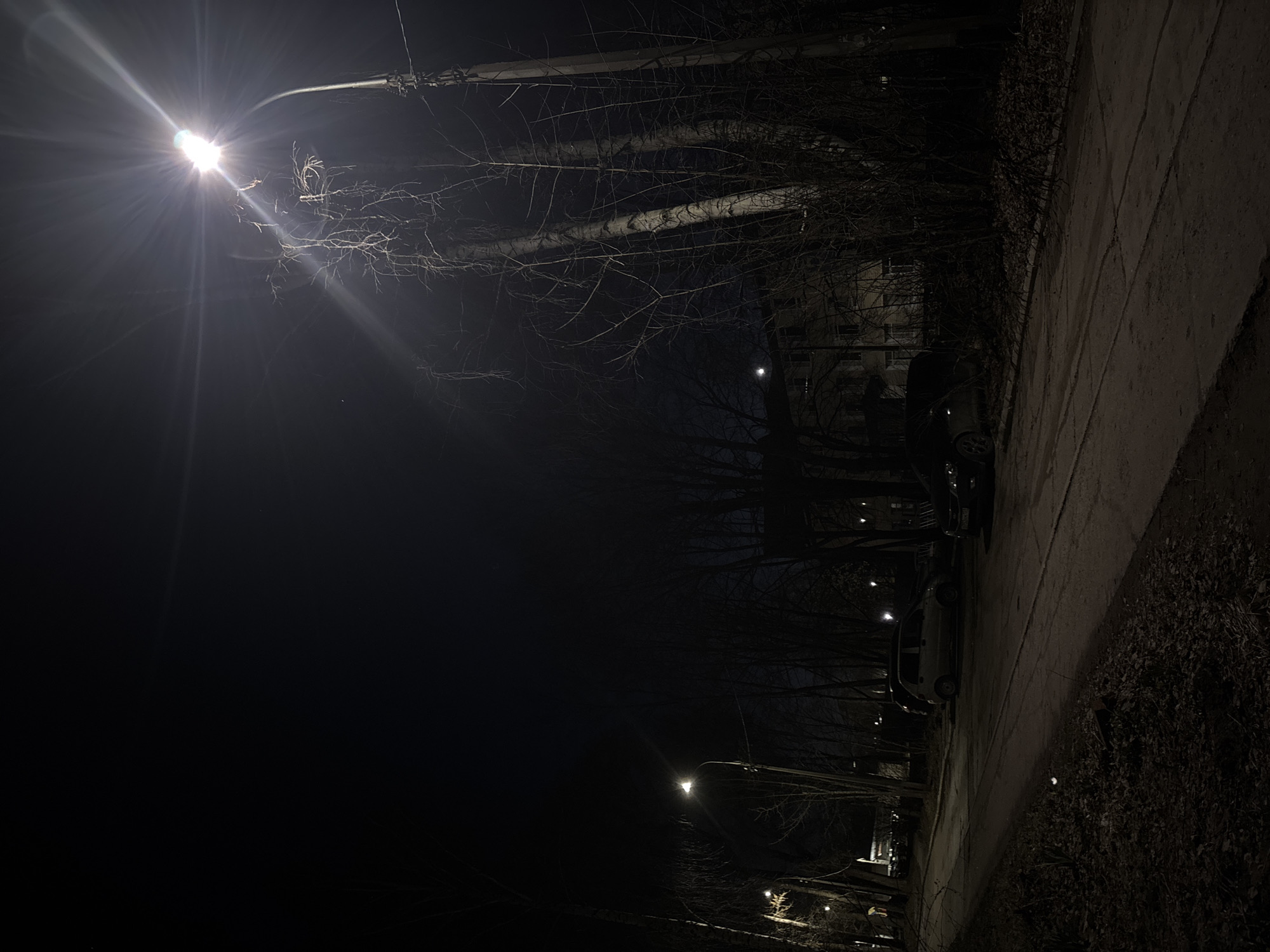 The image captures a quiet, dark night scene along what appears to be a residential street or path in Chaikovsky, Russia. A brilliant streetlight dominates the left side of the frame, emitting a strong glare and radiating light rays that pierce through the darkness. Its illumination highlights the skeletal, bare branches of trees, likely indicative of late autumn or winter.
Further down the scene, to the right, a paved or concrete path extends into the distance, with visible cracks and patterns on its surface. Along this path, at least two parked cars are discernible under the faint glow of distant streetlights. The dark silhouettes of more trees line both sides of the path, their leafless branches creating intricate patterns against the night sky. Faint outlines of buildings or structures are visible through the trees in the background.
The overall atmosphere is serene and somewhat somber due to the prevailing darkness and the stark appearance of the trees. No people or active events are visible, contributing to the quietude of the scene. There is no discernible text within the image.