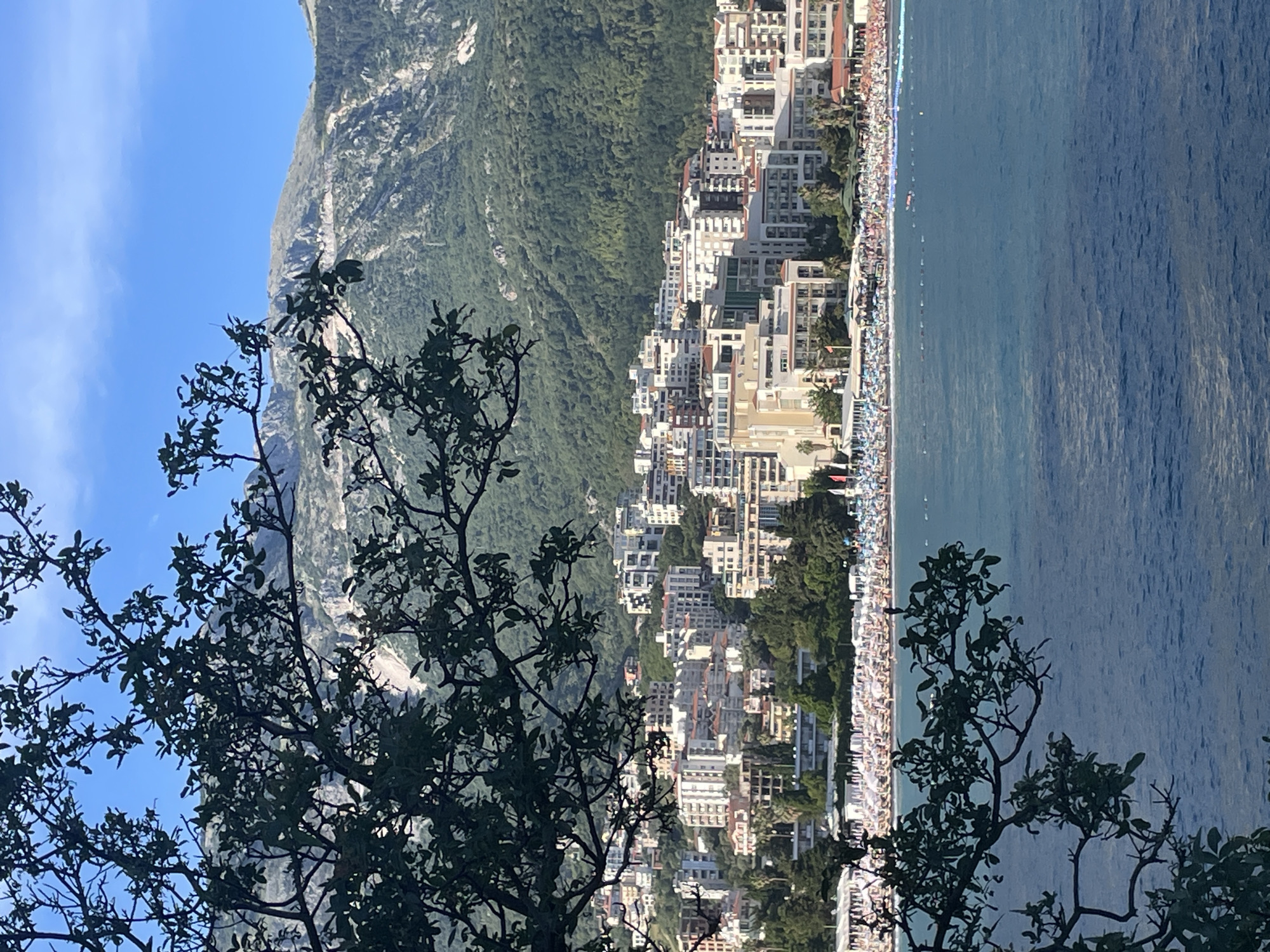 The image shows a view of the city of Budva, Montenegro, from a distance. In the foreground, a dark tree branch with green leaves partially obscures the view. The middle ground is dominated by a bustling beach with numerous white and colorful umbrellas, and many people are visible lounging and walking. Behind the beach, a dense urban landscape of white and beige buildings with red-tiled roofs rises up the hillside. In the background, lush green mountains, partially covered in trees, form a backdrop against a clear blue sky. The sea in the foreground is a deep blue, with some gentle ripples.