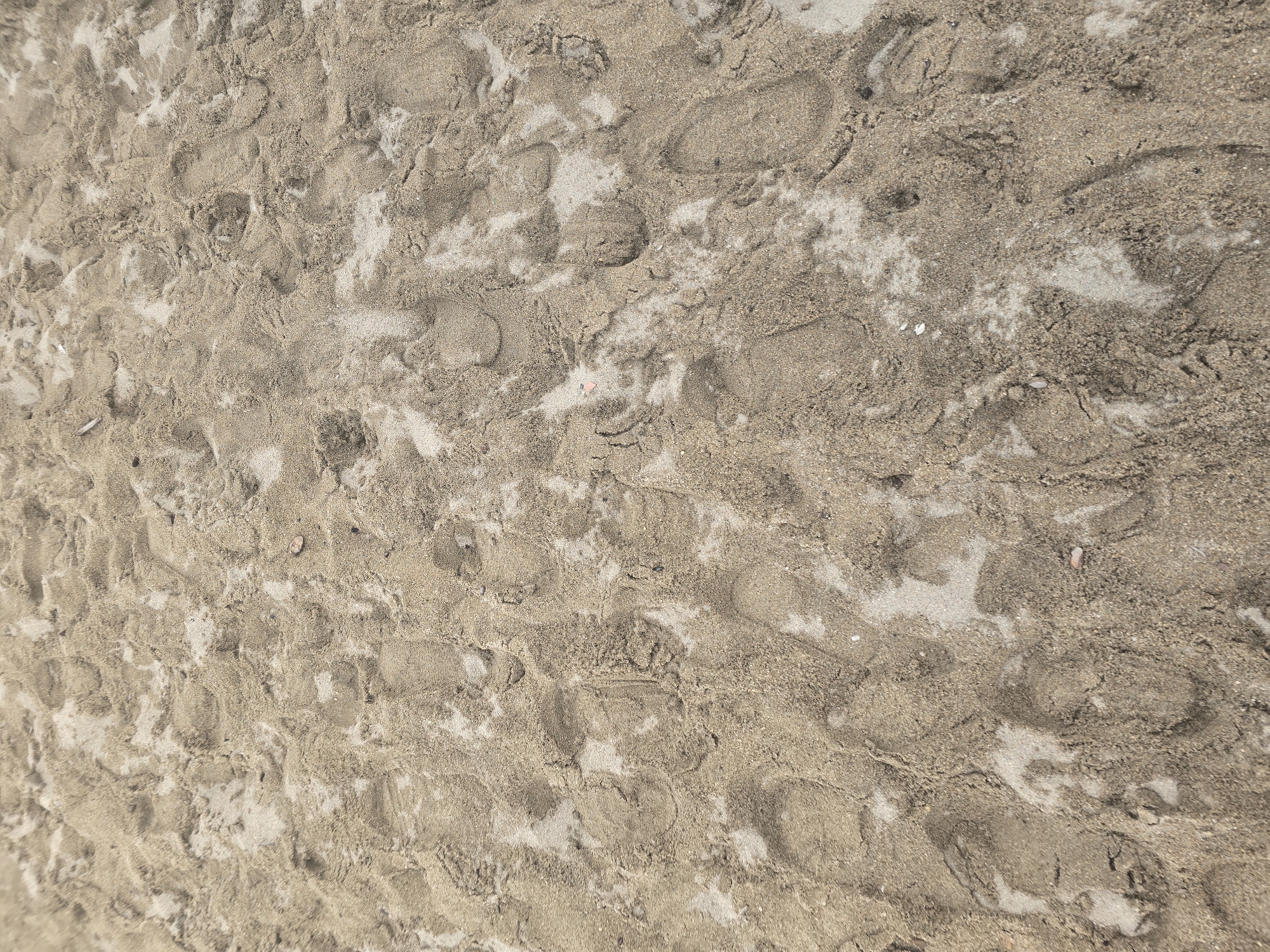 The image shows a close-up, high-angle view of sand with numerous footprints. The sand is light brown and uneven, with areas of packed sand and loose grains. The footprints are varied in depth and clarity, some appearing as clear impressions of soles and others as smudged outlines. There are no other visible objects or subjects in the frame. The scene appears to be a section of a beach or sandy path, likely in Goryachinsk, Russia, given the context.