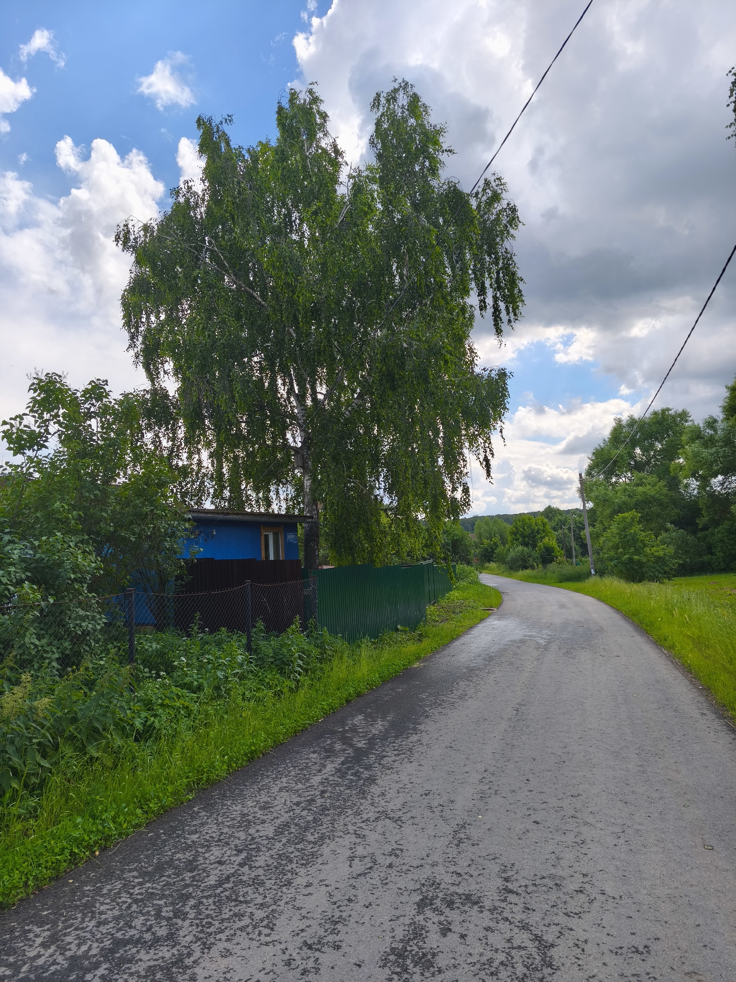 The image depicts a rural scene in Dolzhikovo, Russia, on a cloudy day. A paved, wet road curves through lush green grassy fields and dense foliage. On the left side of the road, a blue building with a dark fence and chain-link fence in front of it is partially obscured by a large, leafy tree with a white trunk. Overhead, power lines stretch across the frame against a sky filled with white and grey clouds. The overall impression is one of a quiet, somewhat damp, natural environment on the outskirts of a settlement.