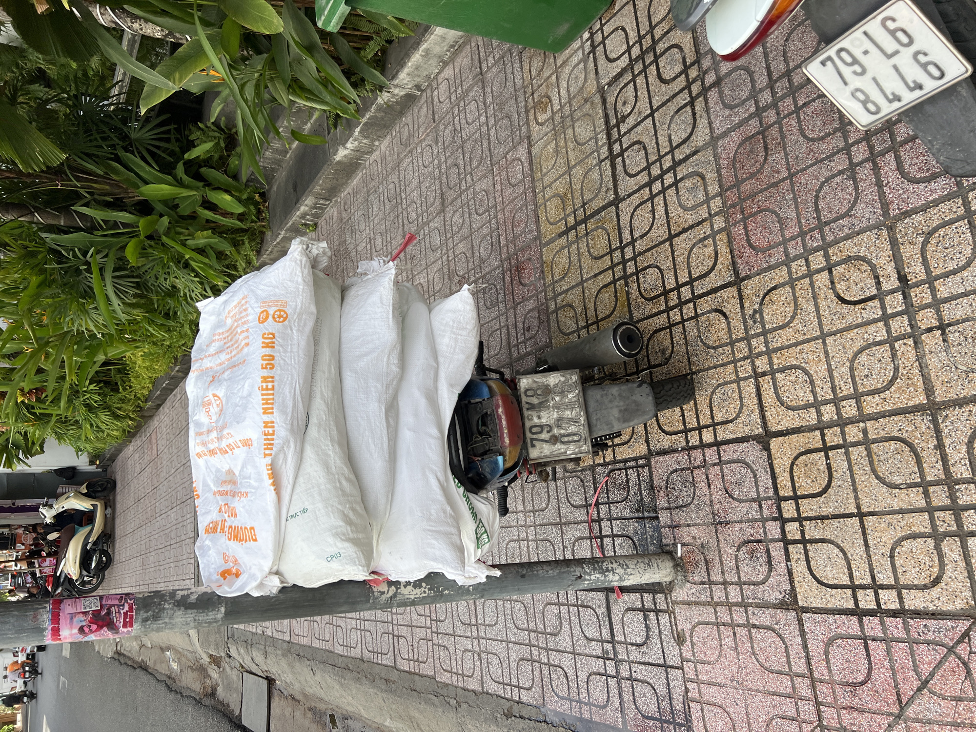 This is a photograph taken on a sidewalk in Nha Trang, Vietnam, at eye level. In the foreground, a stack of four large, white, woven sacks is secured to the back of a dark-colored motorcycle. The sacks appear to be filled with a granular or powdered substance. Text is visible on the top sack, reading "ĐƯỜNG THIÊN NHIÊN 50 KG" and "NSX 03/2025 BBD101122". The motorcycle has a license plate that reads "79-K8 071.16". The motorcycle is parked on a tiled sidewalk with a grid-like pattern. To the left of the motorcycle, a dark gray utility pole is visible, with a red plastic tie wrapped around its base and a poster attached higher up. Beyond the motorcycle, the sidewalk continues, leading to a street with several other motorcycles and a few people on them. To the right of the motorcycle, a large green trash bin is partially visible. The background features lush green foliage, including large leaves and some orange flowers, suggesting a tropical environment. The overall scene depicts a common mode of transport and delivery in the city.