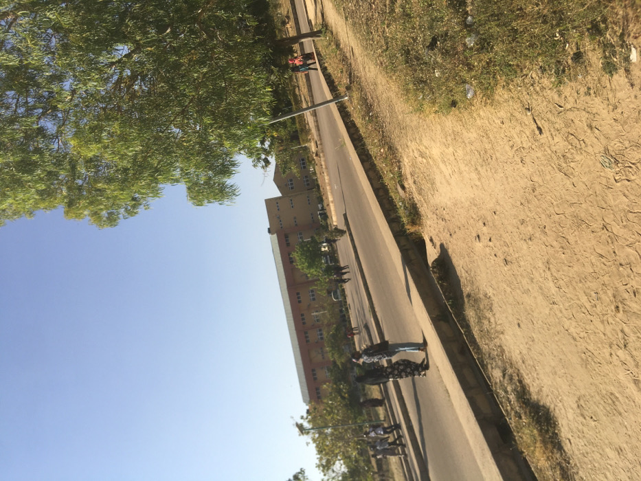 This outdoor daytime image, captured in Pindiga, Nigeria, depicts a public or institutional area under a clear, cloudless blue sky. The immediate foreground on the right consists of a dry, light brown dirt path with visible cracks and sparse green and brown vegetation, including minor white debris. A paved asphalt road, bordered by a concrete curb, diagonally traverses the midground. Approximately 10-15 individuals are present on or adjacent to the road. In the midground, two figures are prominent near the curb: one individual wears a dark, patterned full-length garment and a dark head covering, standing beside another individual in a light blue long-sleeved shirt, blue jeans, and brown shoes. Both appear to be standing or walking slowly away from the camera. Further down the road on the left, a group of 5-7 individuals walks away. On the right side of the road in the distance, 2-3 additional individuals are visible, one appearing to wear red. Trees with green foliage line the road, with a large tree featuring weeping-style leaves partially framing the upper right of the image. In the background, a prominent multi-story building with a light brown facade and a darker roof, featuring numerous rectangular windows, extends horizontally. A smaller, adjacent building with a distinctive triangular roof section is visible to its right.