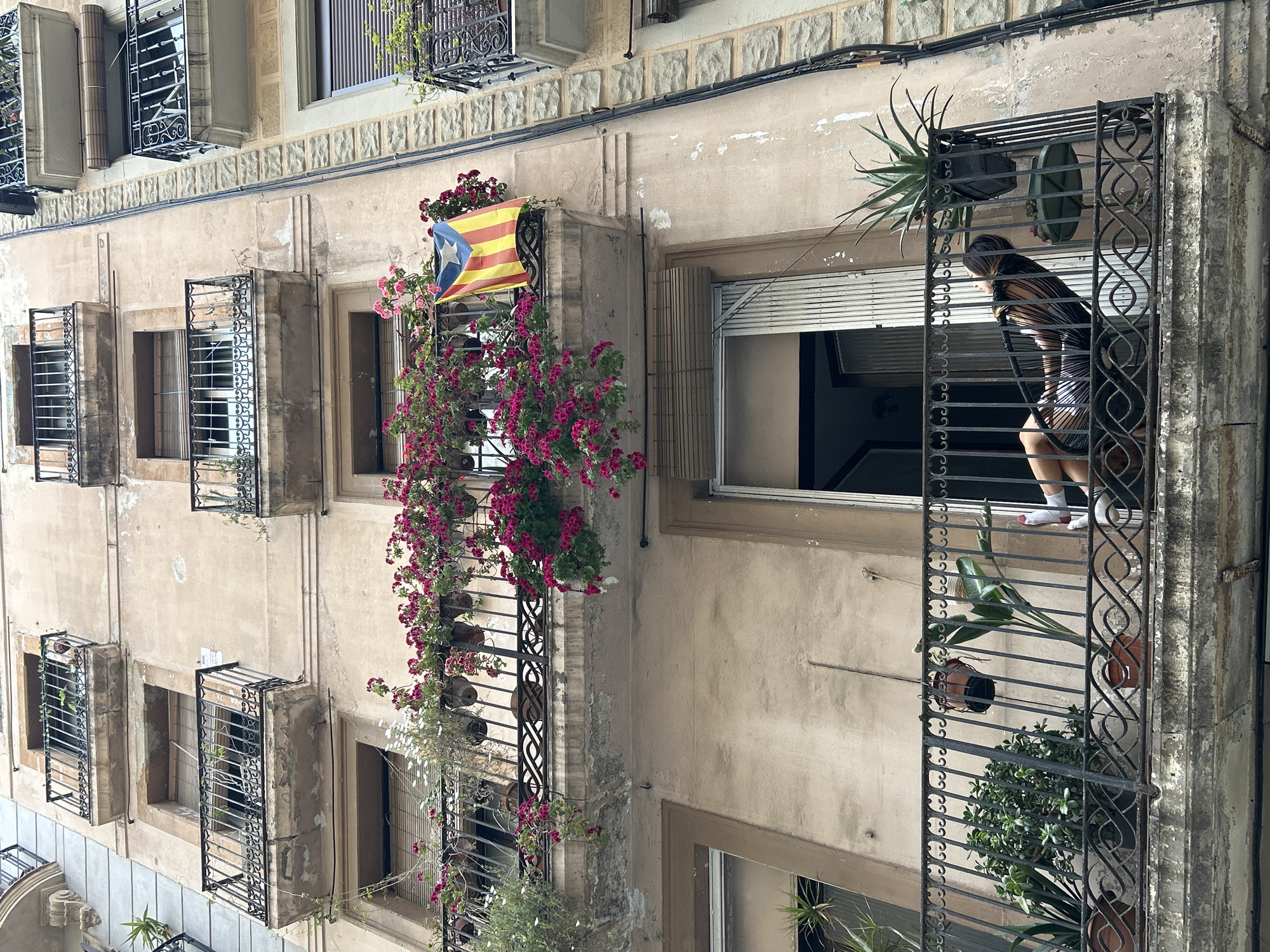 This image presents a vibrant, close-up view of an old apartment building facade in Barcelona, Spain, seen from a slightly upward perspective. The building features a weathered, light-colored (likely stucco or painted) exterior, showing signs of age with some discolored patches and exposed electrical conduits.
Numerous windows are visible across the facade, each protected by decorative black wrought iron grates or small, ornate balconies. Many windows are equipped with external roller blinds, some of which are partially open.
A notable feature is the rich display of plant life. From a balcony located towards the left-center (when the image is viewed upright), a voluminous cascade of bright pink flowering plants, possibly bougainvillea, spills downwards, creating a striking visual element. From this same balcony, an "Estelada" flag—the unofficial Catalan independentist flag with its red and yellow stripes, blue triangle, and white star—is proudly displayed. Other balconies and window sills host a variety of potted green plants, including succulents and larger leafy species.
On the right side of the image (when viewed upright), a person is leaning out of an open window, looking downwards or to the side. She is largely obscured by the intricate iron grating of the balcony. Her attire appears to be a striped dress or top and shorts, and she is wearing white socks. Her posture suggests a casual, observational moment of everyday life.
The scene is set during daytime, under what appears to be soft, diffused lighting, possibly indicating an overcast day or indirect sunlight. The architectural style, the specific flag, and the presence of abundant balcony plants all strongly suggest a European urban setting, consistent with the specified location of Barcelona. No discernible text is visible beyond the design of the flag.