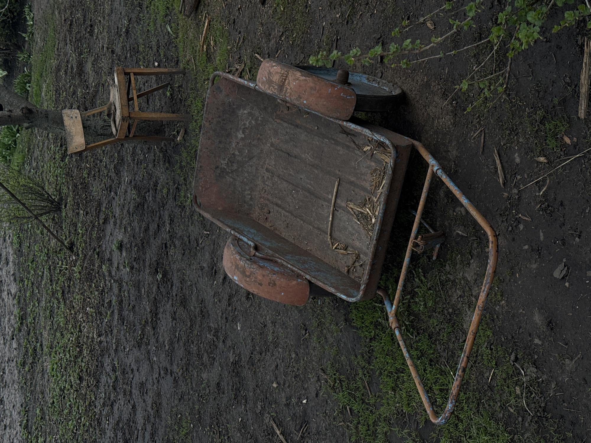A rusted wheelbarrow sits on muddy ground with sparse grass. A dilapidated wooden chair stands nearby. The location is outdoors, seemingly a yard. No people are visible. The items appear weathered and abandoned. The specific location of Semeno-Aleksandrovka, Russia, provides geographical context.
