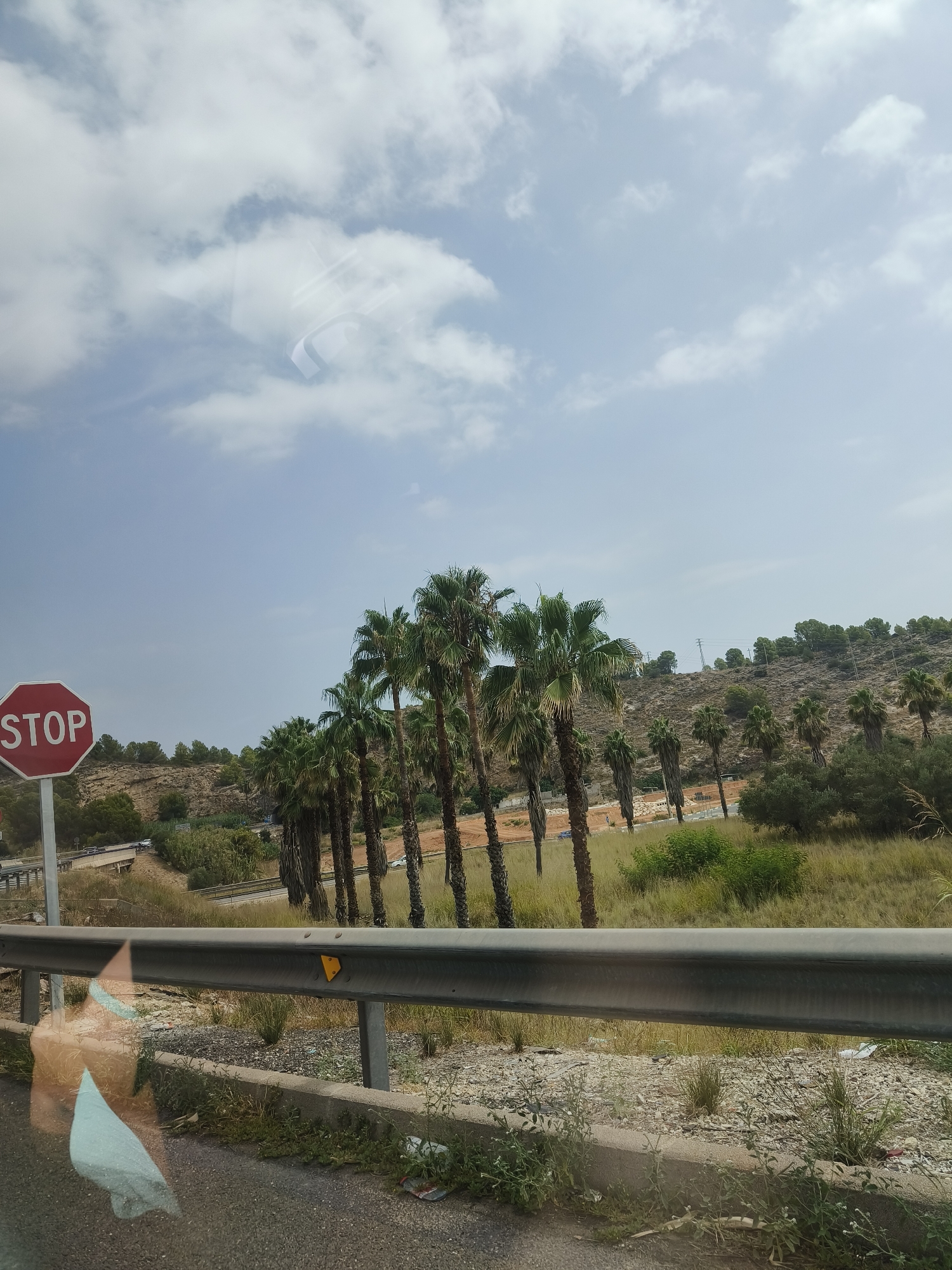 A roadside view shows a red octagonal STOP sign on the left, with the word "STOP" in white lettering. Beyond the sign, a row of palm trees lines a gently sloping hillside covered in dry vegetation and scattered trees. A guardrail runs across the lower part of the image, separating the road from the landscape. The sky is partly cloudy, with a clear blue expanse above. In the foreground, a portion of a road is visible, with some debris on the shoulder. The scene suggests a sunny day, possibly in a Mediterranean climate like that of Gandia, Spain, known for its coastal landscape and palm-lined avenues.