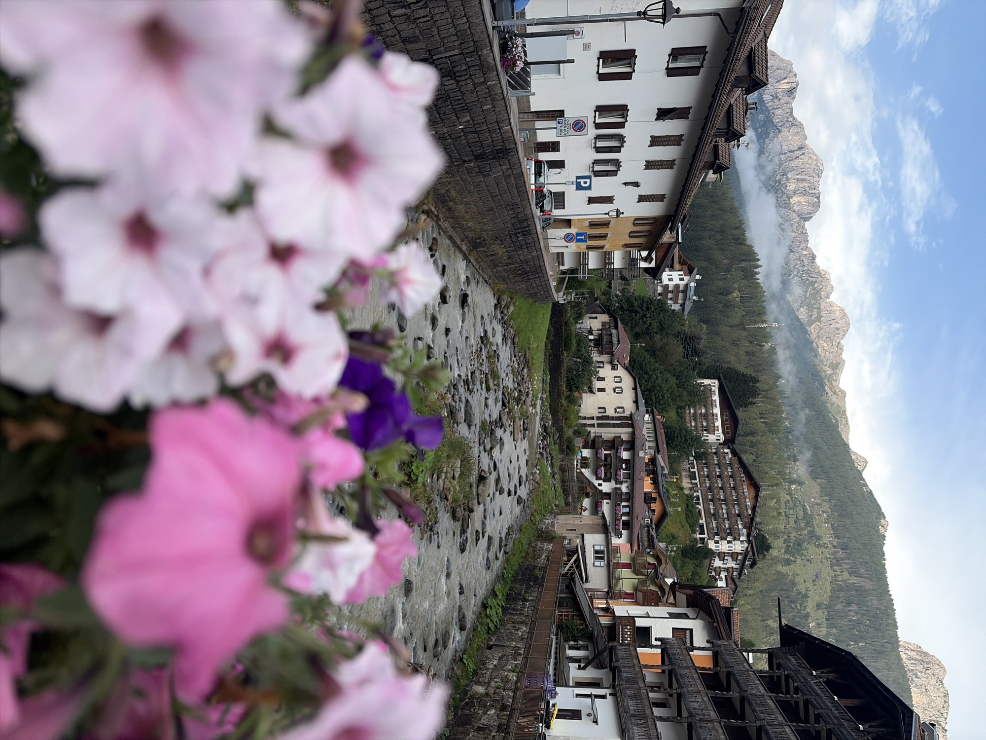 A shallow, rocky river flows through a town in the Dolomites region of Italy, specifically Moena. The river is lined with stone walls, and on either side are buildings with traditional alpine architecture, featuring wooden balconies and pitched roofs. The buildings are of various colors, including white, yellow, and orange, and some have flower boxes. In the background, steep, forested mountains rise dramatically, with a few wisps of clouds clinging to their peaks. The sky is partly cloudy. In the foreground, out of focus, are vibrant pink and purple petunias. The scene appears to be a serene, picturesque mountain town.