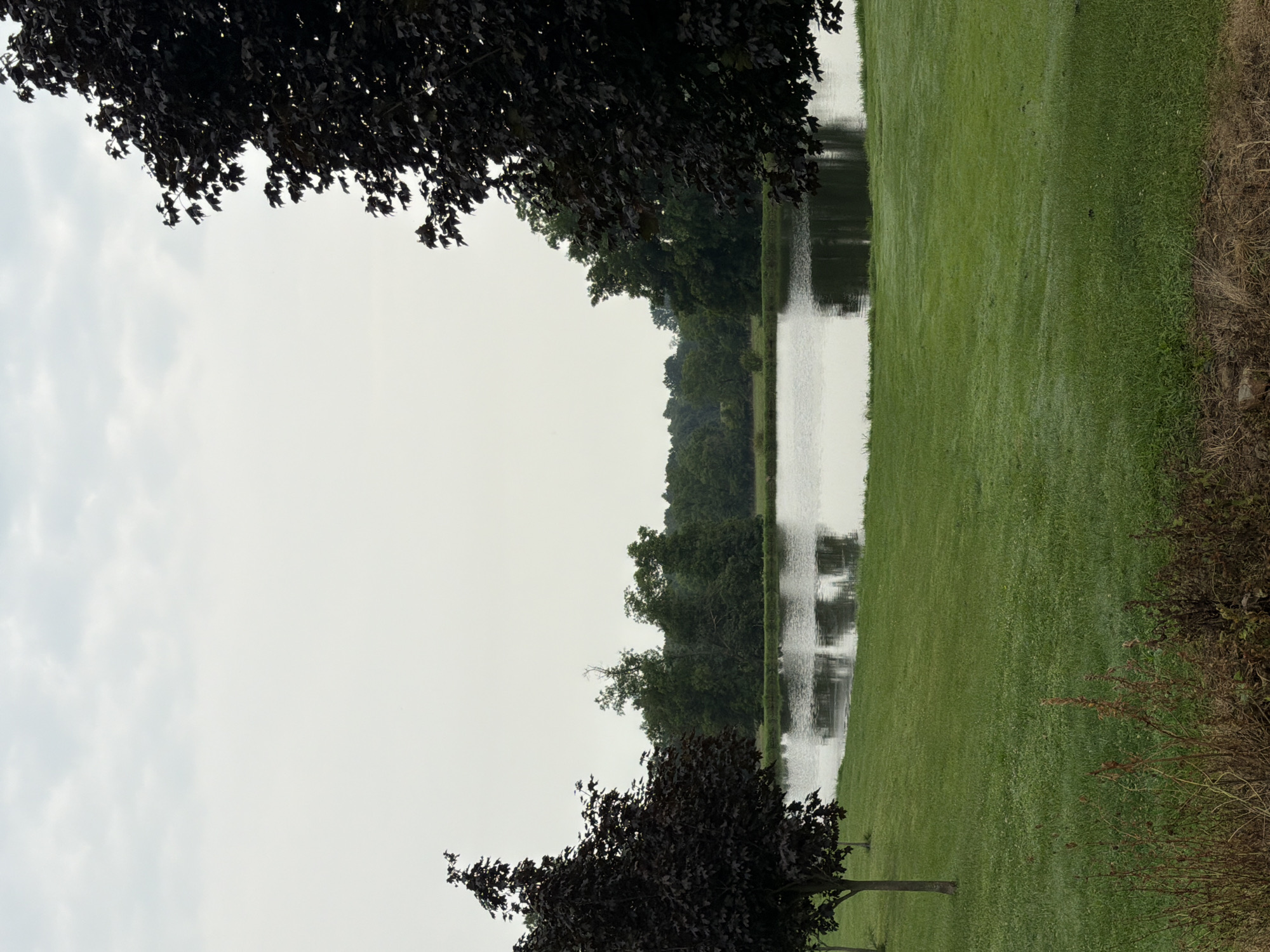 The image depicts a serene landscape in North Beaver Township, United States of America, dominated by a tranquil pond reflecting the overcast sky and surrounding trees. In the foreground, a lush green lawn stretches out, with a few sparse, dry weeds and some rocks at the very bottom edge. Two dark-leafed trees, likely ornamental maples, frame the scene on either side. The tree on the left is fully visible, while the one on the right is partially cropped from view. Beyond the pond, a dense line of varied green trees forms a natural backdrop. The overall atmosphere is calm and quiet, suggesting a rural or suburban setting.