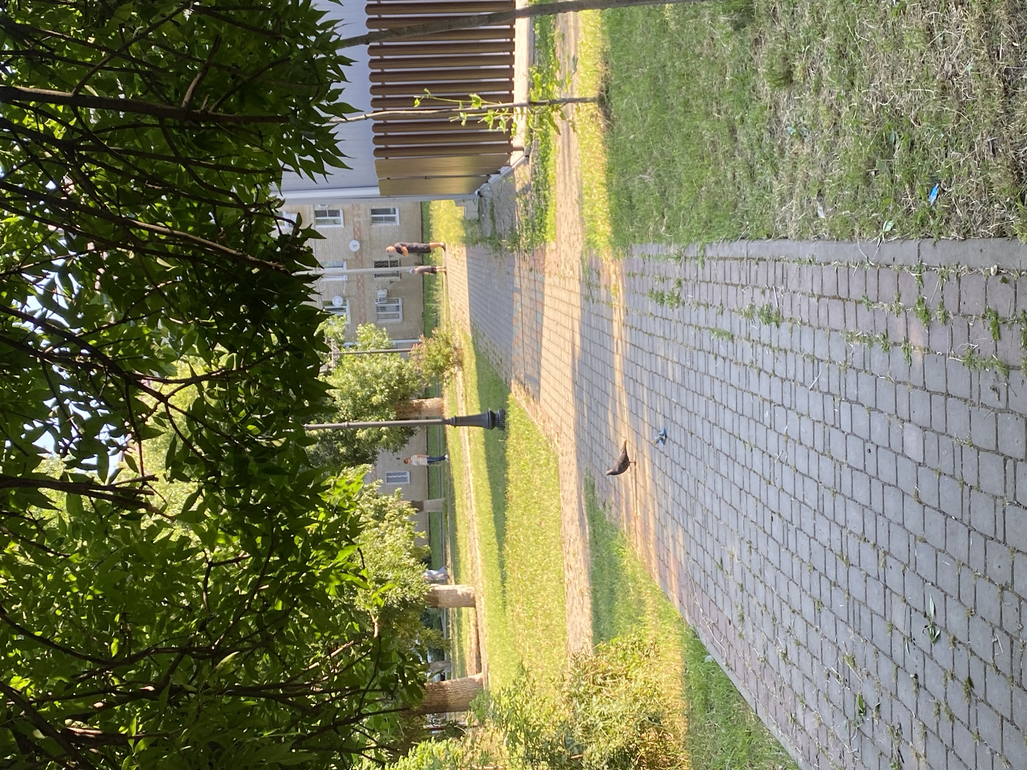 This image depicts a paved pathway in a grassy area, likely a park or residential courtyard, in the city of Zapadny, Russia. The pathway, constructed of gray interlocking pavers, runs diagonally across the frame from the foreground towards the background. To the left of the pathway is a patch of green grass with scattered leaves and some overgrown vegetation. To the right, the grass is sparser and drier, bordering a brown wooden fence. In the middle ground, a single pigeon stands on the pathway. Further back, there is a lamppost and several trees with lush green foliage, casting shadows on the grass. Beyond the trees, a multi-story residential building with visible windows is situated. In the distance, two individuals, appearing to be an adult and a child, are standing near the building, and another person is walking away from the camera on the pathway. The scene is illuminated by sunlight, suggesting it is daytime.