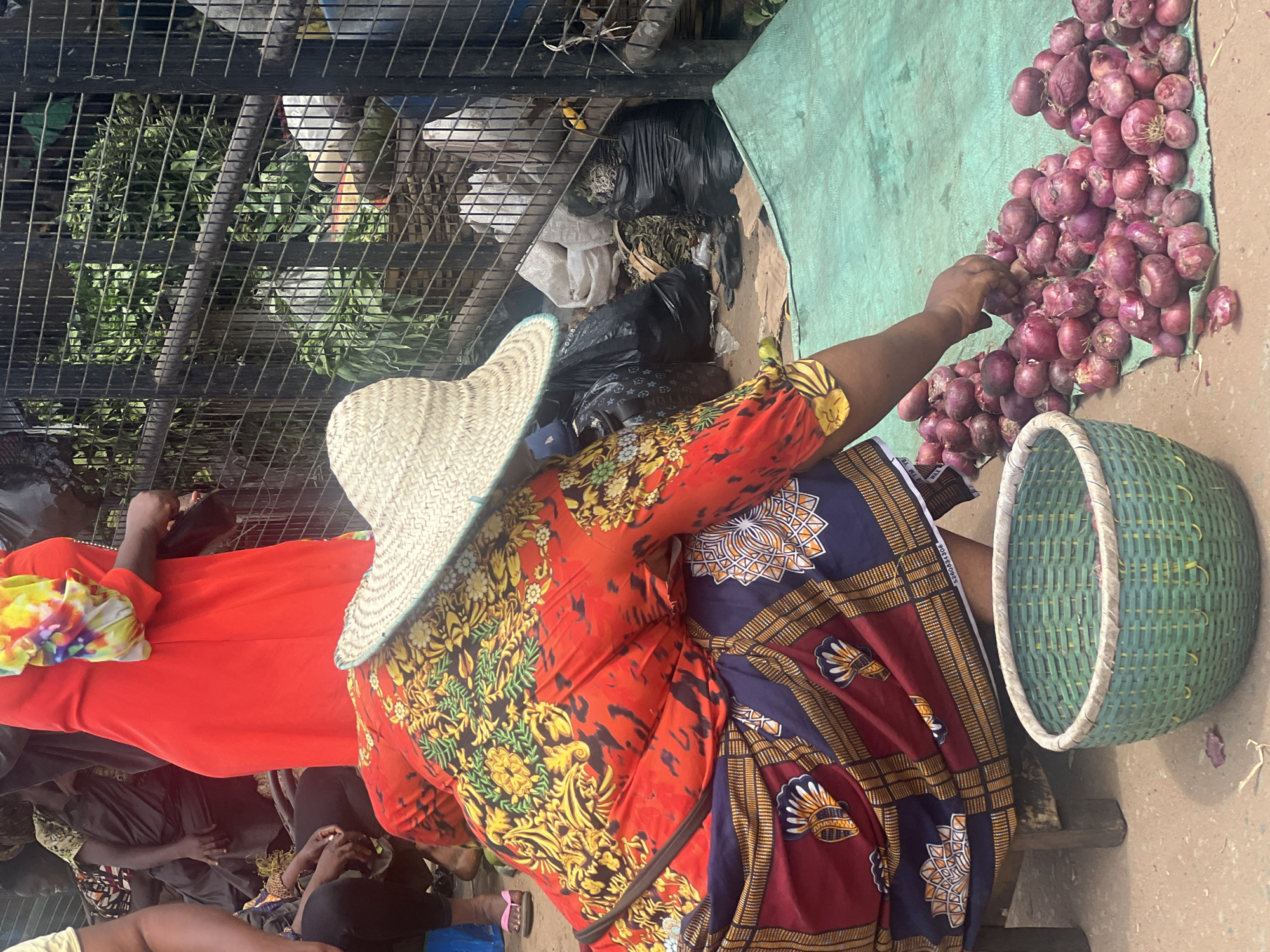 In a bustling outdoor market in an unknown city, a woman wearing a straw hat and a vibrant red and blue patterned dress sits, her back to the camera, selecting red onions from a pile on a green surface, placing them into a nearby green woven basket. To her left, another woman in a bright orange outfit is visible, along with other individuals seated and partially obscured, creating a crowded scene. A metal cage-like structure encloses greenery and discarded items like black plastic bags in the background.