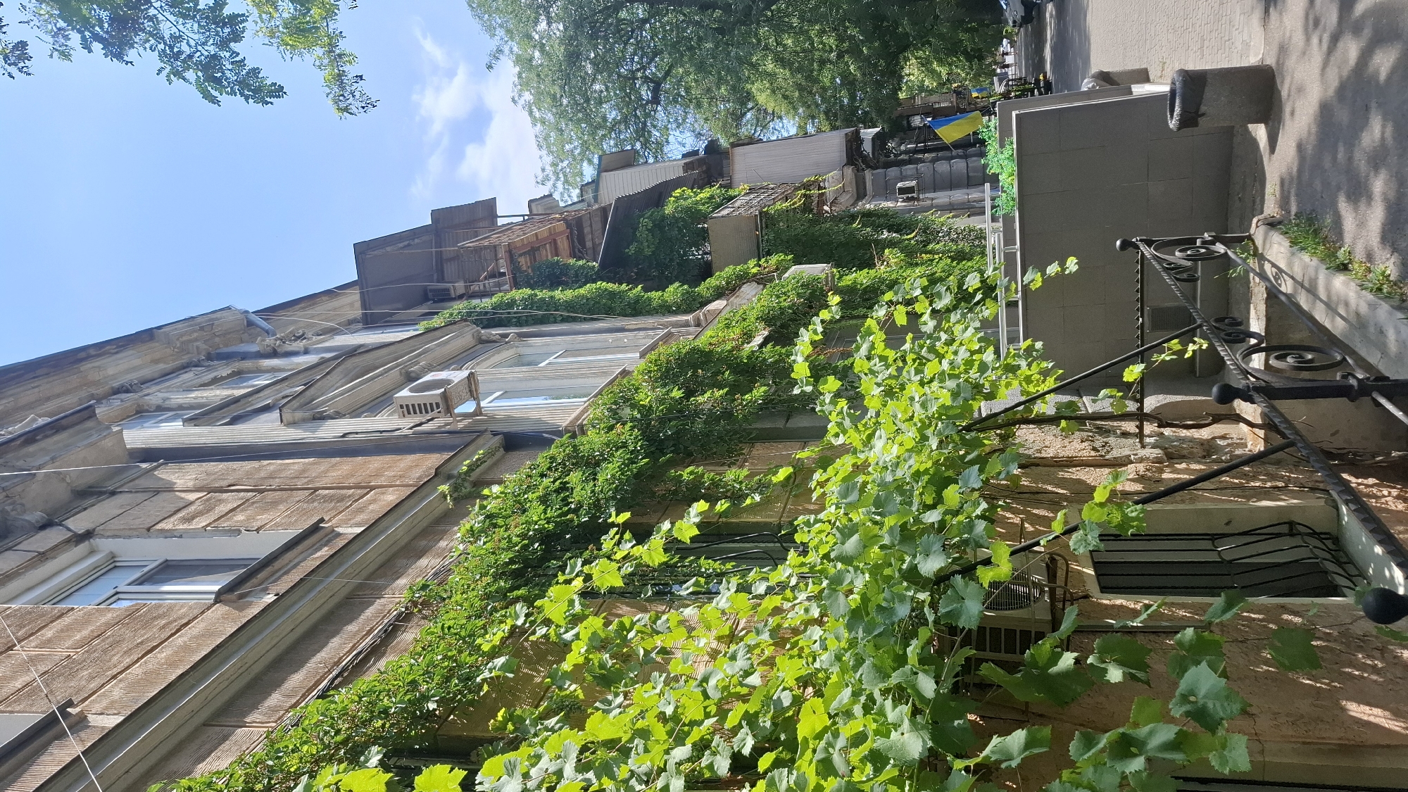 The image shows a building with an old facade covered in green ivy. In the foreground, there is a wrought iron railing and steps leading down. An air conditioning unit is visible mounted on the wall. In the background, a street can be seen with trees lining the sidewalk and a Ukrainian flag is displayed. The sky is blue with some clouds.