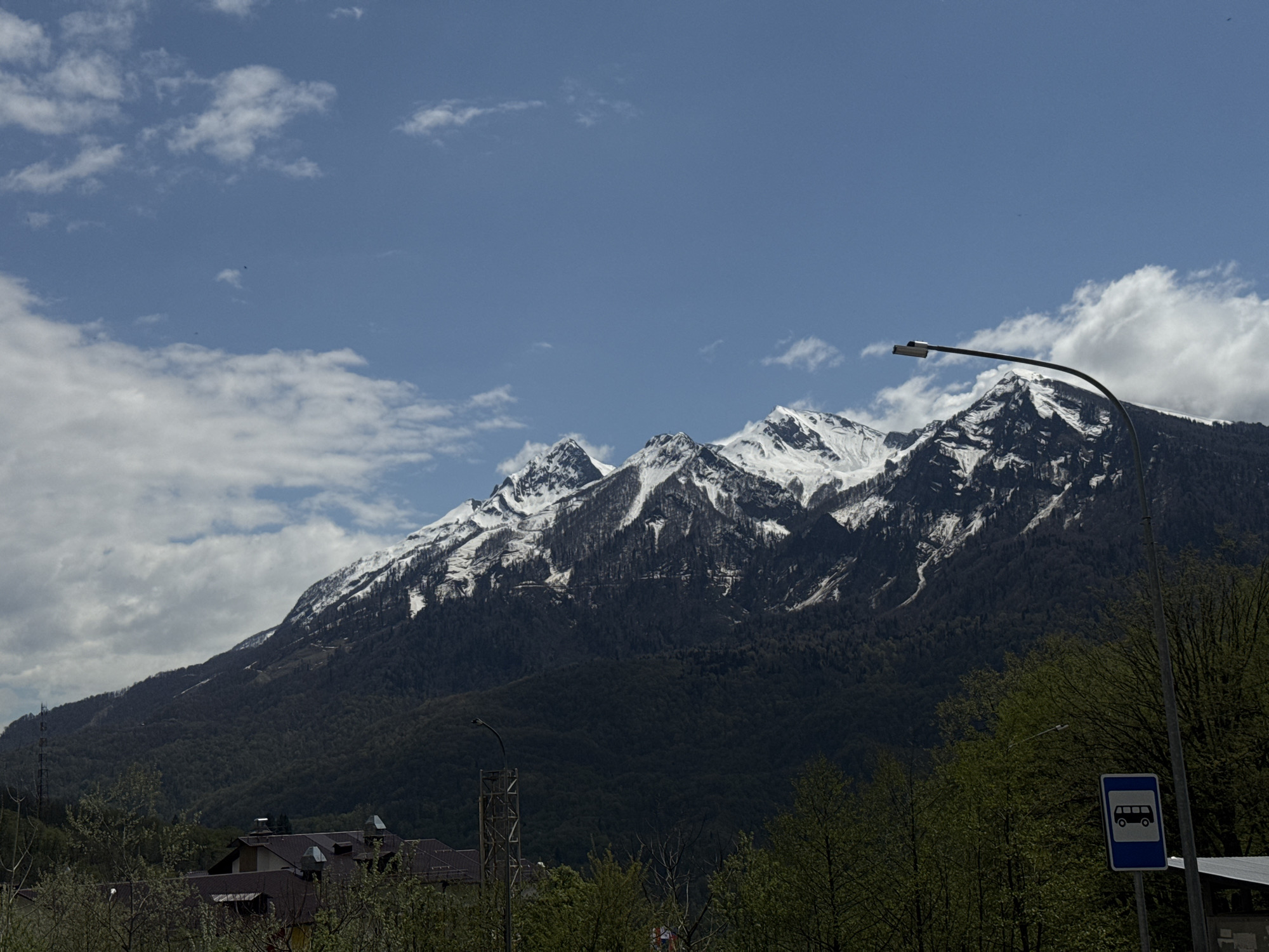 The image shows a landscape in Krasnaya Polyana, Russia. Dominating the view are snow-capped mountain peaks against a blue sky with scattered clouds. The lower slopes of the mountains are covered with dense forest. In the foreground, there are trees with fresh green leaves, a street light, and a bus stop sign. A building with a dark roof is visible nestled among the trees at the base of the mountain.
