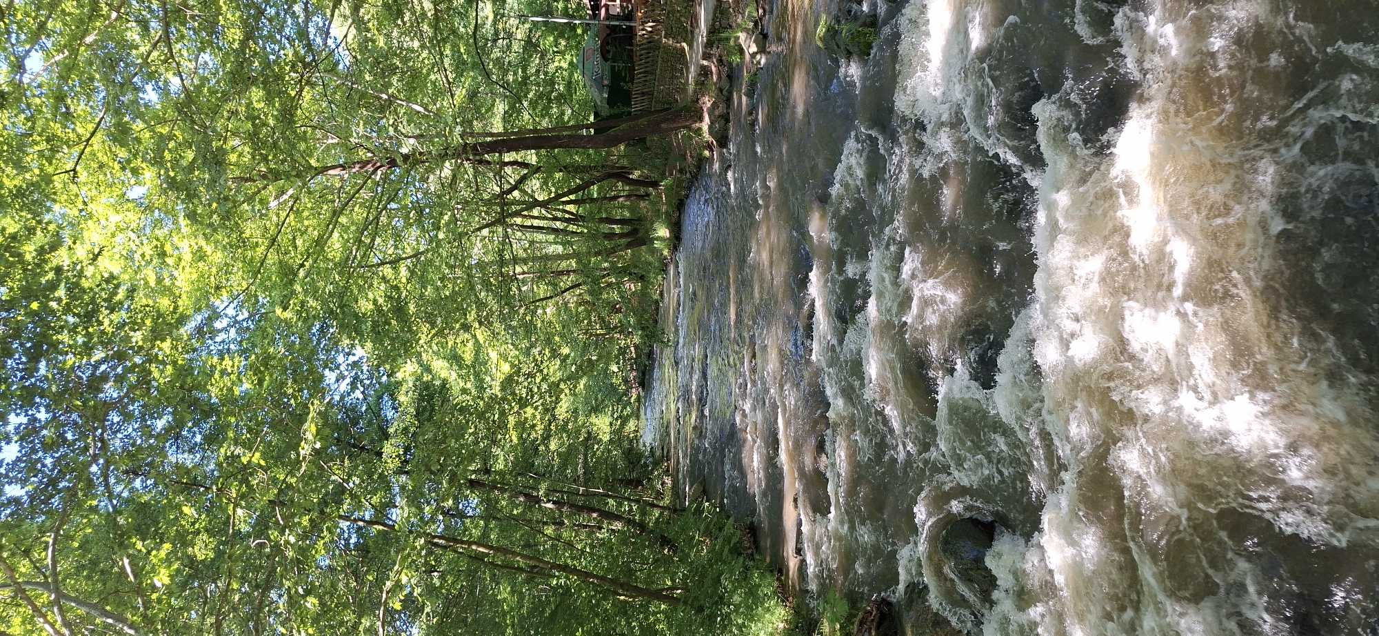The image depicts a flowing river in Parvenets, Bulgaria, bordered by lush green trees. The water is turbulent with visible whitecaps, indicating a rapid current. Trees line the riverbank on both sides, creating a shaded environment. In the upper left, there is a glimpse of what appears to be a building or structure. The sunlight filters through the tree canopy, illuminating parts of the water and foliage.