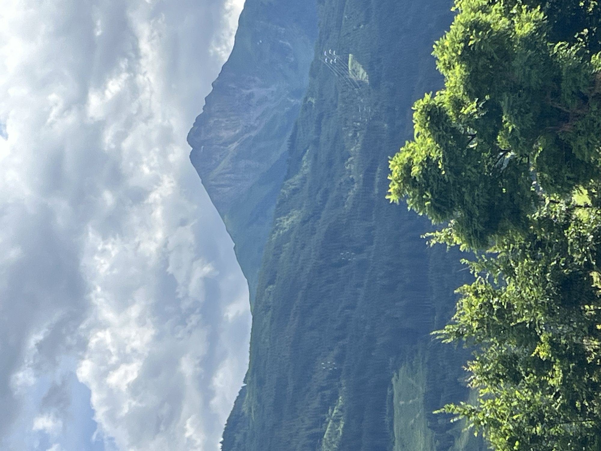 The image depicts a mountain landscape with a clear sky, partially obscured by clouds. In the foreground, lush green trees are visible, with sunlight illuminating their leaves. The middle ground is dominated by a dense, dark green forest covering rolling hills. In the background, a majestic mountain peak rises, its slopes showing a mix of green vegetation and rocky, lighter-colored terrain. A ski lift or cable car system can be observed ascending the mountain's side. The overall scene suggests a natural, mountainous environment. The location is identified as Zell am See, Austria.