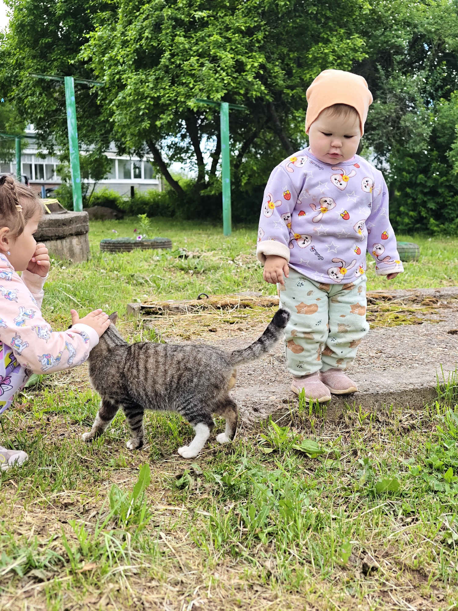 The image shows two young children interacting with a tabby cat in Уральское, Russia. One child, wearing a pink unicorn-patterned pajama set, kneels and pets the cat. The other child, wearing a purple shirt with bunny and strawberry graphics, tan pants with fox graphics, and a tan beanie, stands on a concrete platform, watching the interaction. The cat is walking towards the right of the frame. The environment includes green grass, concrete structures, and trees. A building is visible in the background.