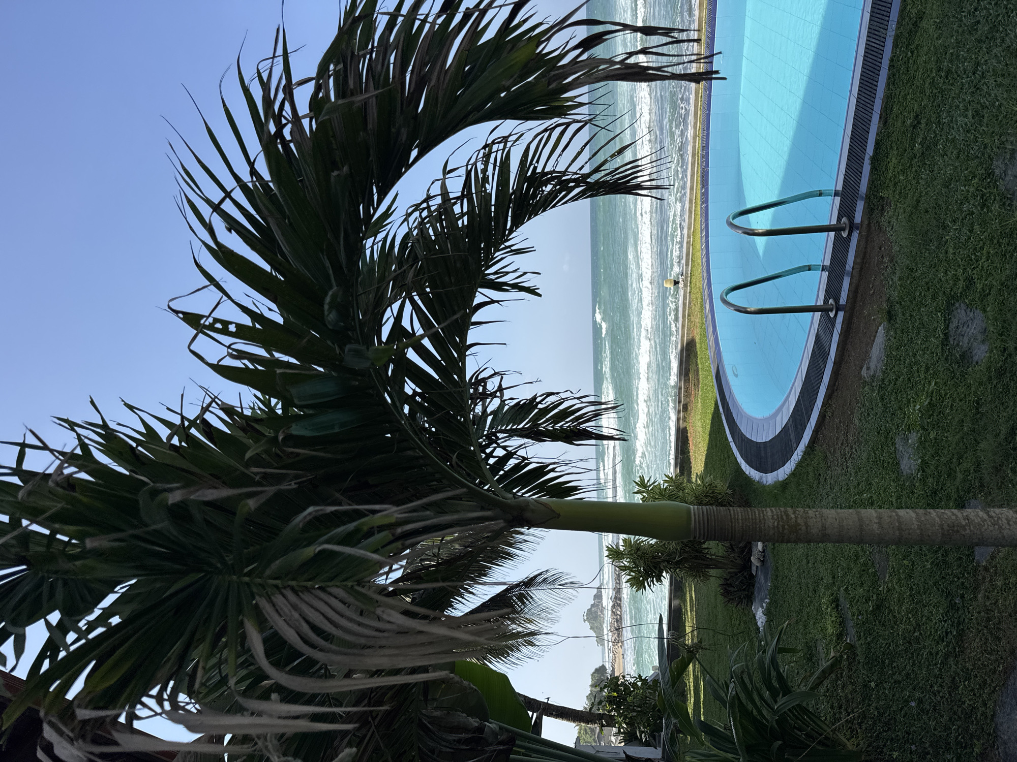 The image depicts a tranquil scene in Goviyapana, Sri Lanka, featuring a kidney-shaped swimming pool adjacent to the ocean. A mature palm tree with lush fronds dominates the foreground, its leaves casting dappled shadows. The pool, filled with vibrant turquoise water, has a set of stainless steel handrails leading into it. Beyond the pool, a strip of green grass borders the shoreline. The ocean, a deep cerulean, is active with moderate waves rolling towards the beach. In the distance, a small, rocky island with vegetation rises from the sea, and a solitary figure is visible near the water's edge. The sky is a clear, bright blue.