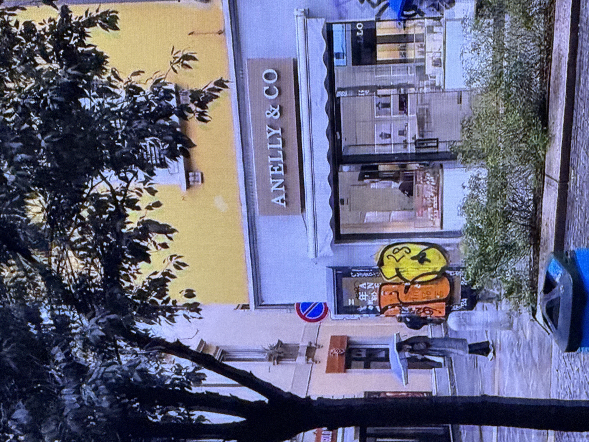 The image depicts a street scene in a city, possibly in Europe based on the architecture and street signs. A tree with dark leaves partially obscures the view of buildings. On the right, a store with a sign reading "ANELLY & CO" is visible. The store has a large glass storefront displaying items inside. Graffiti is present on a pole in front of the store. A person is walking under an umbrella on the left side of the image. The ground appears wet, suggesting it might be raining or has recently rained. A blue trash receptacle is in the foreground. The environment suggests an urban setting, but there is no indication that this location is in Dubai, United Arab Emirates.