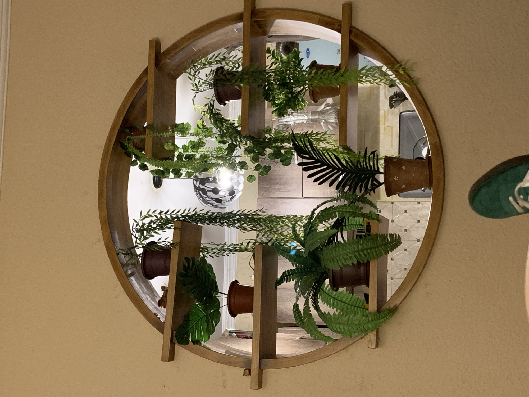 An oval-shaped wooden shelf unit with multiple levels is mounted on a beige wall. The unit contains several potted plants, some of which have cascading vines. The shelves reflect in the mirrored backing of the unit, showing glimpses of a room with tiled walls and a light fixture. In the foreground, a green shoe is visible. The scene is indoors, with no specific city or location information available.
