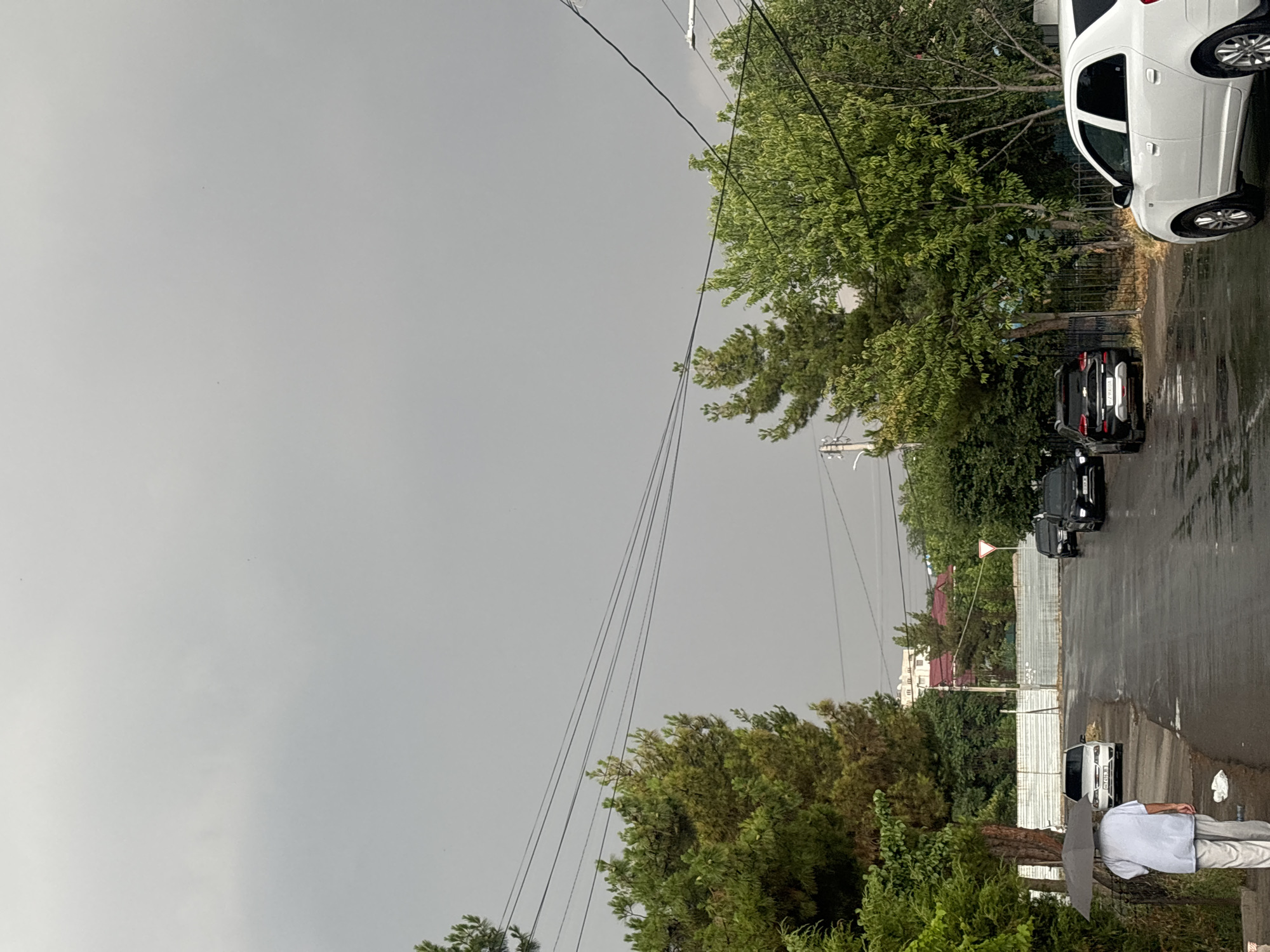 The image depicts a rainy day scene on a street in Tashkent, Uzbekistan. A person is holding an umbrella, standing on a wet sidewalk. Several cars are parked on the street, also appearing wet from the rain. Lush green trees line the street, and in the background, buildings with red roofs and a white building are visible. The sky is overcast and gray, indicating gloomy weather. The wet surfaces of the road and sidewalks suggest recent or ongoing rainfall. The overall atmosphere is one of a typical rainy day in an urban or suburban setting. No visible text is present in the image.
