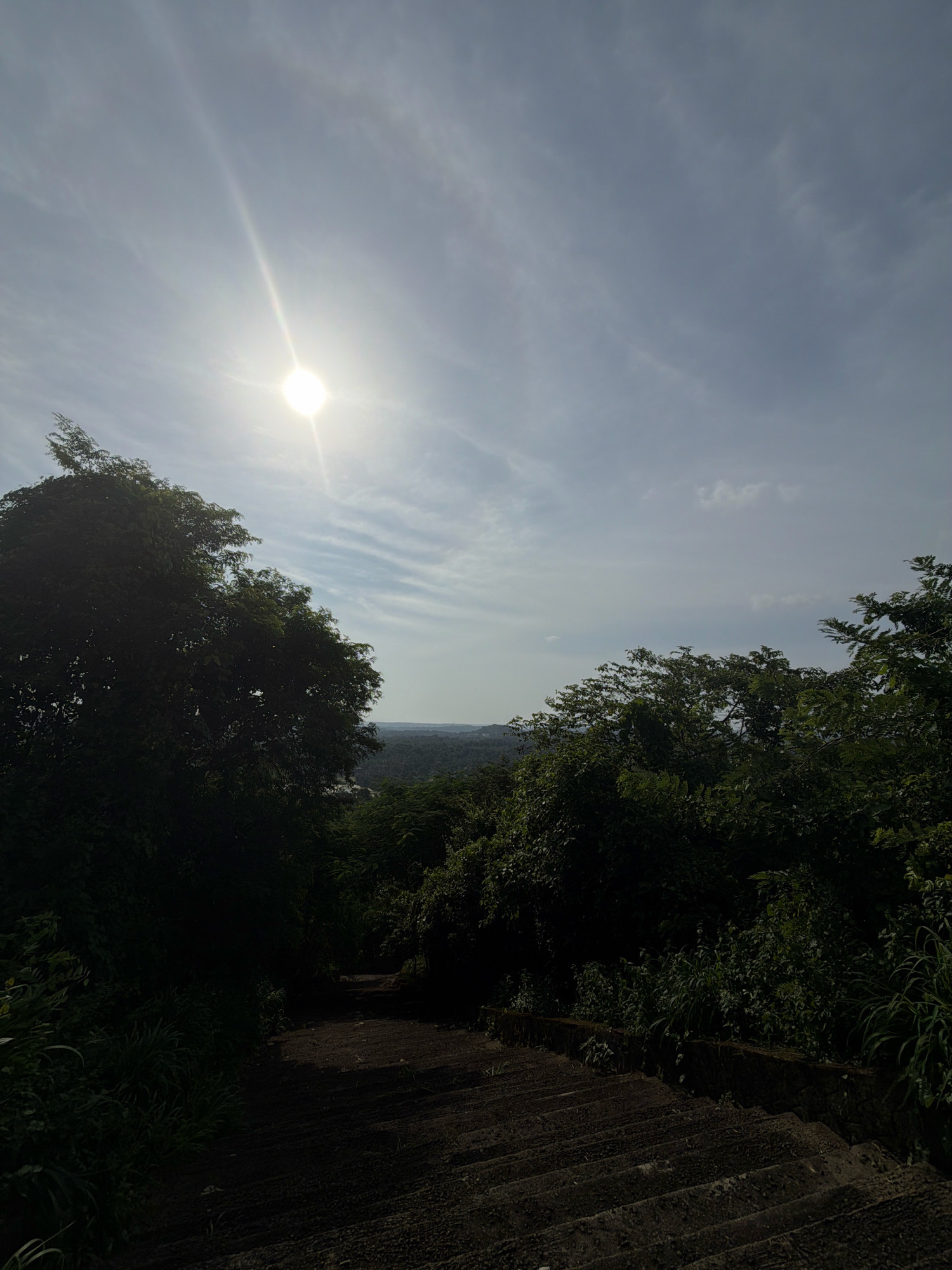 The image captures a view from a stone staircase leading down into a lush, green valley. The sun shines brightly in the upper left quadrant, casting a lens flare and creating a ray of light across the sky. The sky is a pale blue with wispy, elongated clouds. Dense foliage, composed of various trees and plants, flanks the staircase on both sides, with the left side being more heavily shadowed by a large tree. In the distance, the valley floor is covered with more trees, hinting at a natural landscape. The staircase itself appears weathered and constructed from dark stone blocks. The overall impression is a serene, natural setting with a strong sense of depth. The specific location in Koorkaparamba, India, suggests a possibly hilly or elevated area with abundant vegetation characteristic of the region.