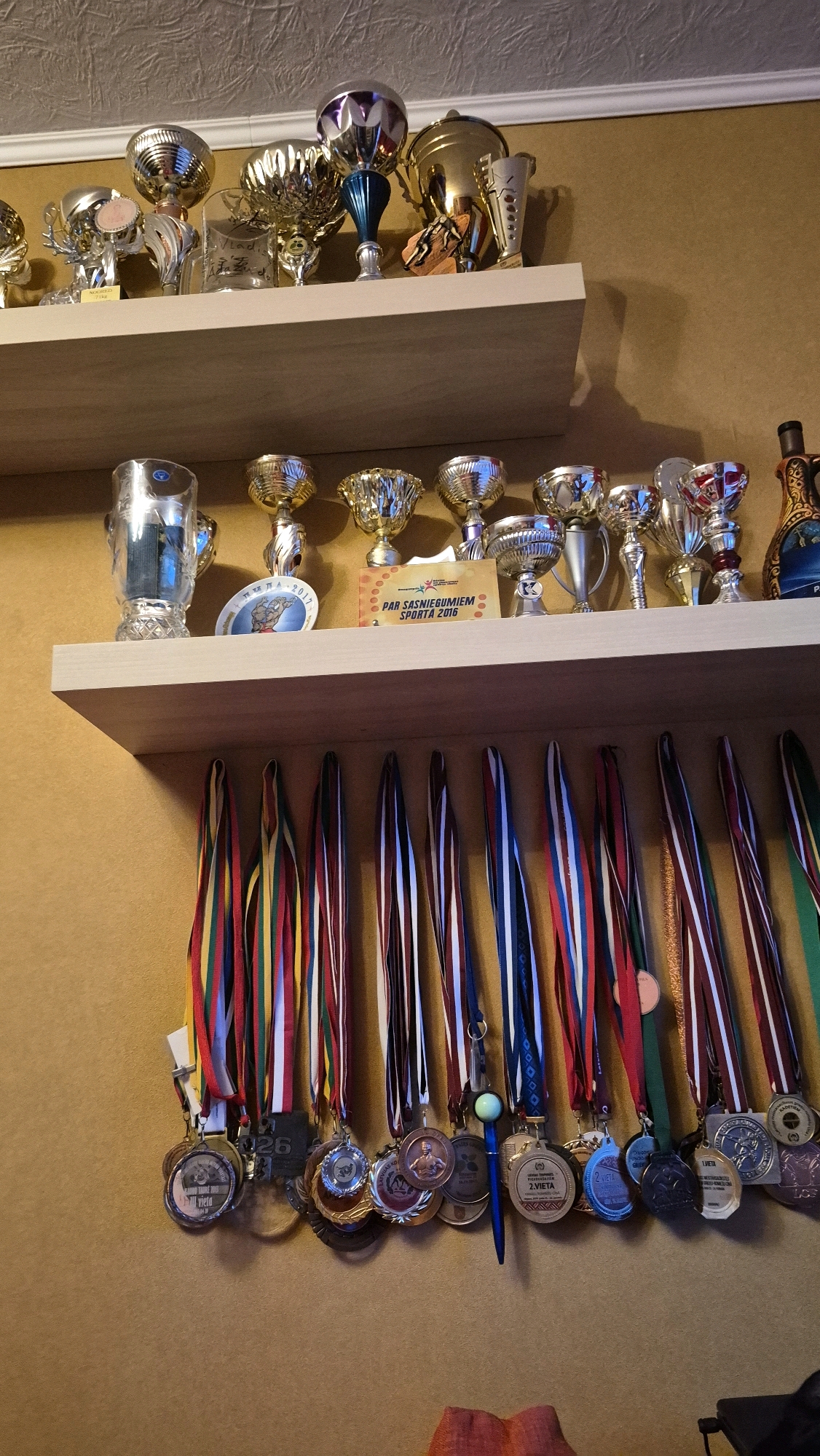 The image shows a shelf with trophies and medals. The shelf is filled with various trophies of different sizes and designs, mostly metallic and silver-colored. Below the shelf, a row of medals hangs on a wall, each with a colorful ribbon. The wall behind the shelf is a textured, golden-brown color, and the shelf itself is light brown and appears to be made of wood. The overall scene suggests a collection of awards and achievements, possibly in a home or a community center. The specific location in the city of Krauja, Latvia is not discernible from the image itself.