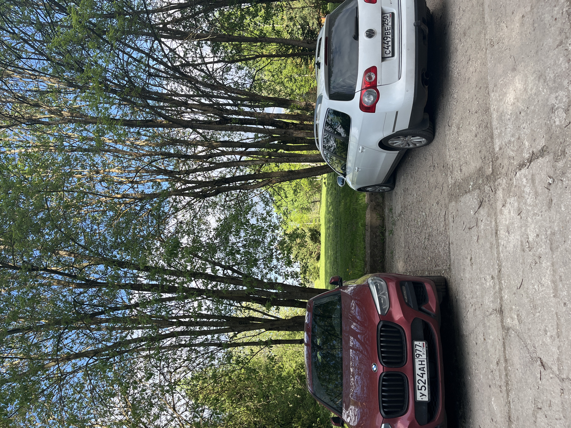 The image shows two cars parked in an outdoor setting in Алопово, Russia. A red BMW SUV with license plate Y524AH 977 is parked in the lower part of the frame, while a white Volkswagen station wagon with license plate C449BE 250 is parked in the upper part. The vehicles are parked on a concrete surface, likely a driveway or parking area. Behind the cars, there is greenery, including trees with dense foliage and a grassy area. The sky is visible through the tree branches. There are no people visible in the image.