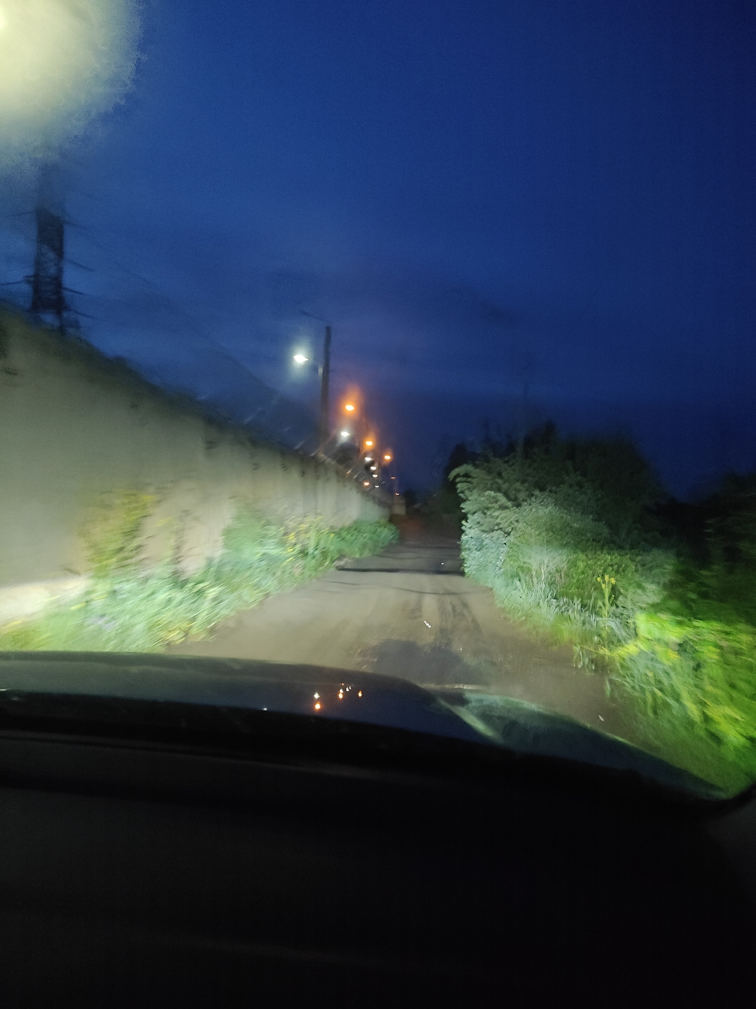 The image, taken from inside a vehicle moving along a road at night, depicts a street in what is likely a residential or industrial area. A high wall runs along the left side of the road, sporadically covered with vegetation. On the right, there are trees and bushes. Streetlights illuminate the scene, casting an orange glow in the distance and reflecting off the road surface. Power lines are visible above the wall on the left. The location is likely Chaikovsky, Russia.