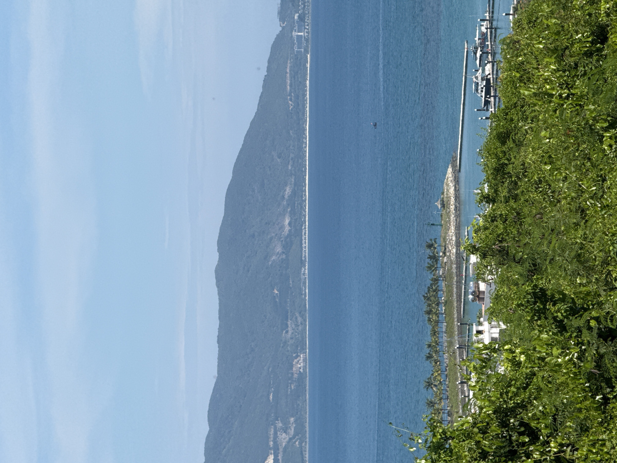 This is a medium-shot, eye-level, outdoor, vertical, daytime photograph of a coastal landscape in Nha Trang, Vietnam. In the foreground, dense green foliage dominates the lower portion of the frame. Behind the foliage, a harbor with docked boats is visible. Several white boats, some with dark trim, are tied to a pier. In the mid-ground, a line of palm trees stretches across a sandy area, bordering the turquoise ocean. A small, rocky island with a green navigational marker and a small gazebo is situated to the left of the pier. A single, dark-colored boat with a small cabin is visible further out in the ocean. The background features a vast expanse of blue ocean meeting a hazy, mountainous coastline. The sky is a pale blue with a few wispy white clouds.