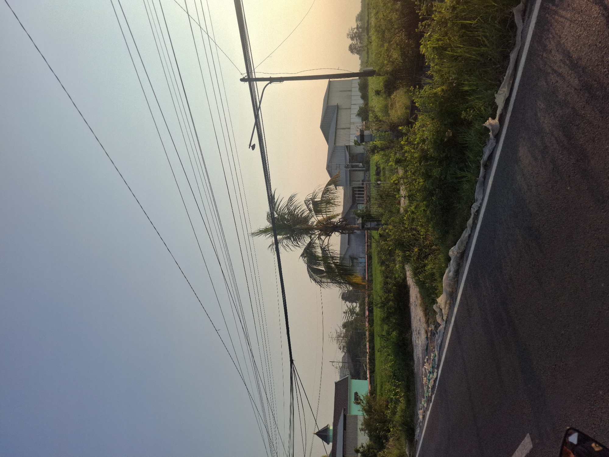 The image depicts an outdoor scene in the city of Banjarmadu, Indonesia, during daylight. The foreground features a paved road with a white line marking its edge, running diagonally from the lower left to the mid-right of the frame. On the left side of the road, a portion of a dark-colored vehicle is visible.

The midground reveals a rural landscape with a field of green vegetation. A single palm tree stands prominently in this area, with its fronds reaching towards the sky. Behind the field, several buildings are visible, including a structure with a teal-colored wall and a dark, pointed roof, possibly a mosque or religious building. Adjacent to it are larger, industrial-looking buildings with grey roofs. A lamppost is situated near these structures.

The background consists of a clear, pale blue sky that transitions to a warmer, yellowish hue near the horizon, suggesting either sunrise or sunset. A complex network of power lines crisscrosses the upper portion of the image, casting shadows. The overall impression is one of a semi-rural or industrial fringe area, with infrastructure and natural elements coexisting. No people are visible in the frame.