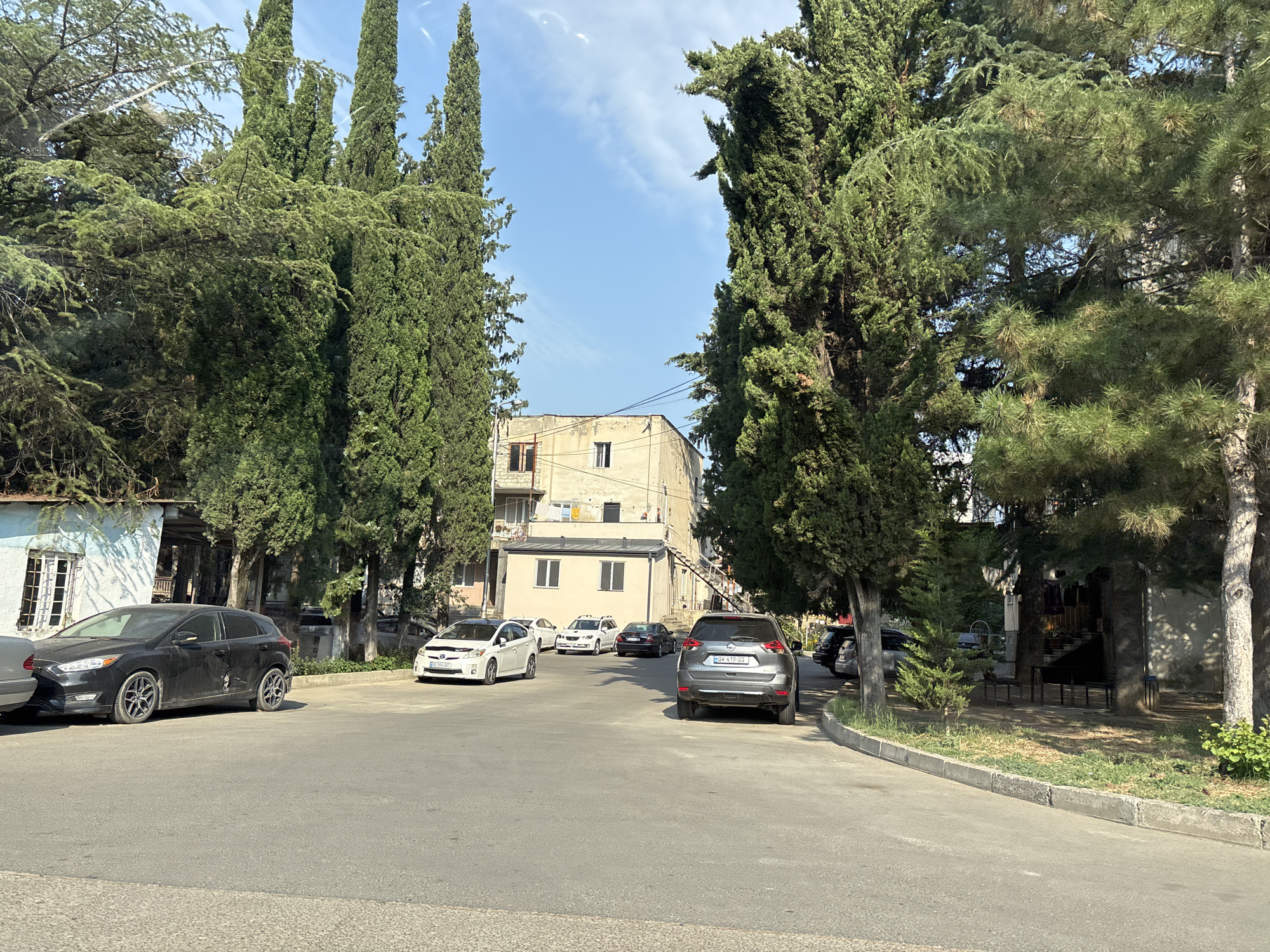 The image depicts a street scene in Tbilisi, Georgia, on a sunny day. Tall cypress trees line a paved road where several cars are parked. In the background, a light-colored, multi-story building with visible balconies and windows stands under a clear blue sky with wispy clouds. The foreground shows the asphalt road with a concrete curb and a patch of grass and trees on the right side. Cars visible include a black Ford Focus on the left, a white Toyota Prius, a white sedan, a black SUV, and other vehicles partially visible. The environment appears to be a residential or mixed-use area with a calm atmosphere.