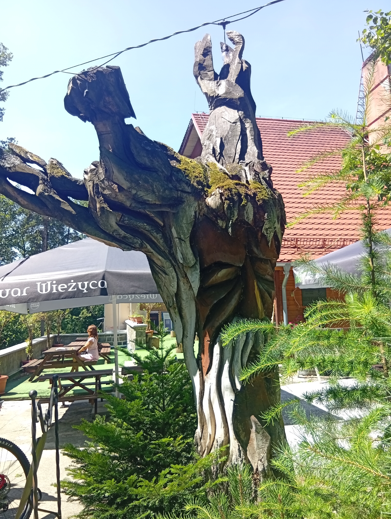 The image shows a large, weathered wooden sculpture of a figure with outstretched arms, possibly depicting a bird or a mythical creature. The sculpture is located outdoors, with a bright blue sky above and a building with a red tiled roof in the background. In front of the sculpture, there is a black umbrella with Polish text that appears to say "uar Wieżyca". There are wooden picnic tables and benches under the umbrella, and a woman is seated at one of them. Young evergreen trees are in the foreground and to the right of the sculpture, and some moss is visible on the wood. The overall impression is that of an outdoor seating area at a restaurant or cafe in Sobótka, Poland, with a unique artistic element.