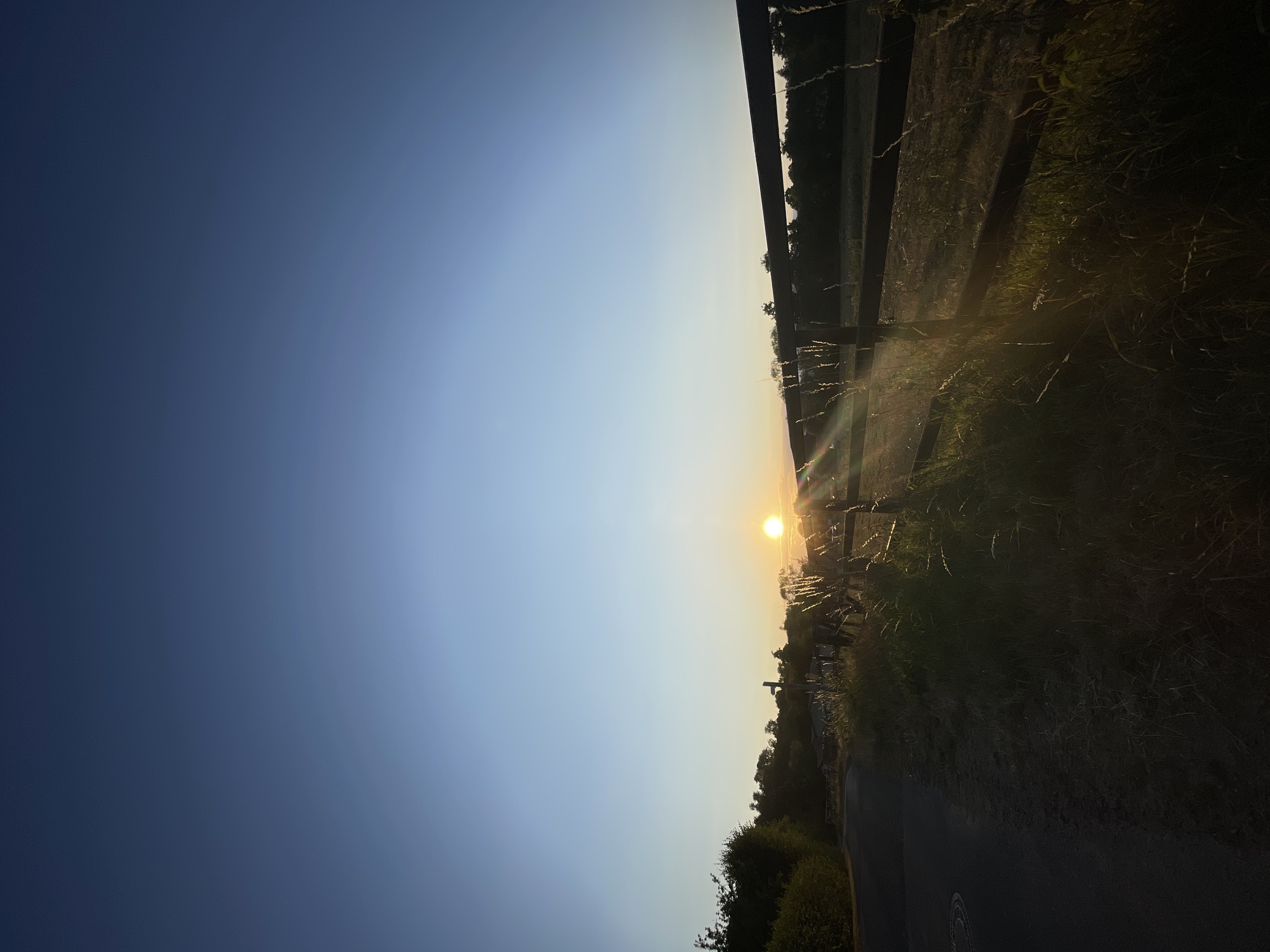 The image shows a rural scene at sunset, possibly in the vicinity of Rückershausen, Germany. The sun is low on the horizon, casting a warm glow across the landscape. A dark wooden fence runs diagonally across the frame, separating a grassy field from a paved road. The road curves to the left, leading towards a treeline in the distance. Tall grasses and wildflowers grow along the roadside and within the fenced area. The sky is a gradient of deep blue at the top, transitioning to a lighter blue and then to a soft orange and yellow near the horizon. There are no people or animals visible in the frame. The overall atmosphere is serene and tranquil, typical of a rural setting during twilight.