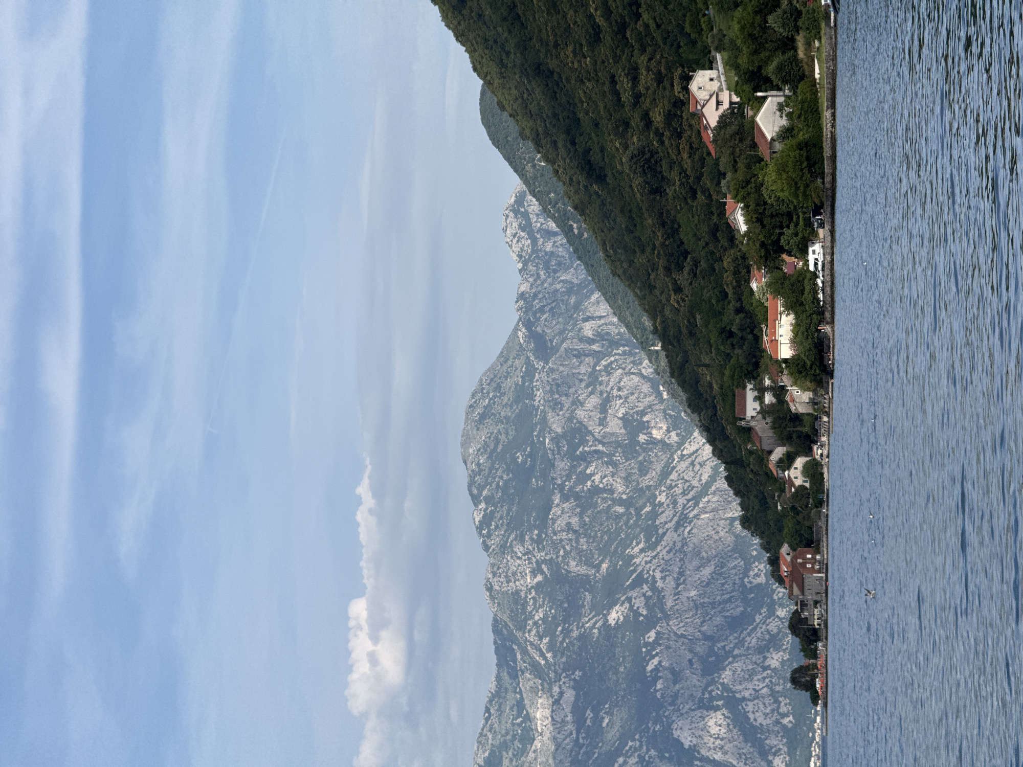 The image shows a scenic view of the Bay of Kotor in Morinj, Montenegro. The foreground is dominated by calm blue water, with a few seagulls flying near the surface. In the middle ground, a picturesque coastline is visible, featuring a cluster of houses with red-tiled roofs nestled amongst lush green trees. A white campervan is parked on the road behind the houses. The background is characterized by imposing, rugged mountains, their rocky slopes partially covered with vegetation. The sky above is a soft blue with scattered white clouds, indicating a pleasant, clear day. The overall scene evokes a sense of tranquility and natural beauty.