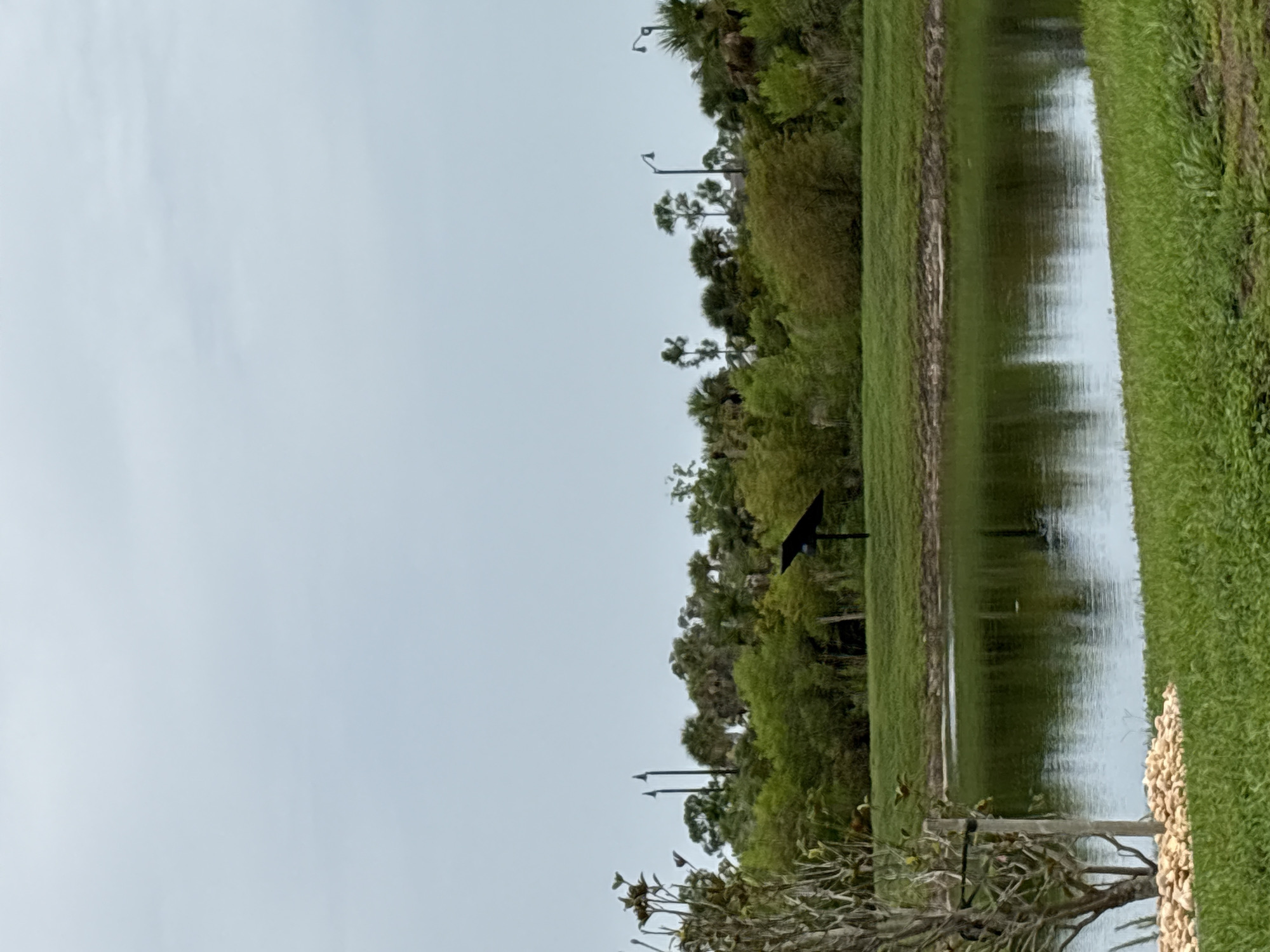 The image depicts a serene outdoor scene with a body of water in the foreground, reflecting the overcast sky and the lush vegetation that lines its banks. A small, dark, solar-powered panel is visible on the grassy embankment. In the background, a line of trees and palm trees create a natural barrier, with several lampposts interspersed among them. A bare-branched tree with some foliage is in the left foreground, with a small mound of light-colored stones at its base. The scene appears to be a park or a well-maintained natural area. The specific location in North Port, Florida, USA, is not identifiable from the visual cues alone.
