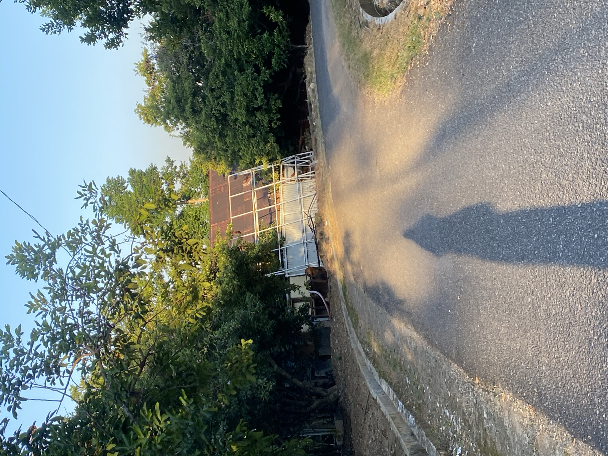 In Banjarbaru, Indonesia, a paved road winds through a vegetated area with trees lining both sides. The scene is illuminated by warm, low-angle sunlight, casting long shadows across the road. In the background, partially obscured by trees and foliage, stands a partially constructed or derelict structure with a rusted metal roof and a white metal frame. Some pipes and debris are visible near the structure. The road has a concrete gutter along the left edge, with gravel and sparse vegetation beyond it. A person's shadow is cast prominently on the road in the foreground, indicating their presence off-camera. The sky is clear and blue.